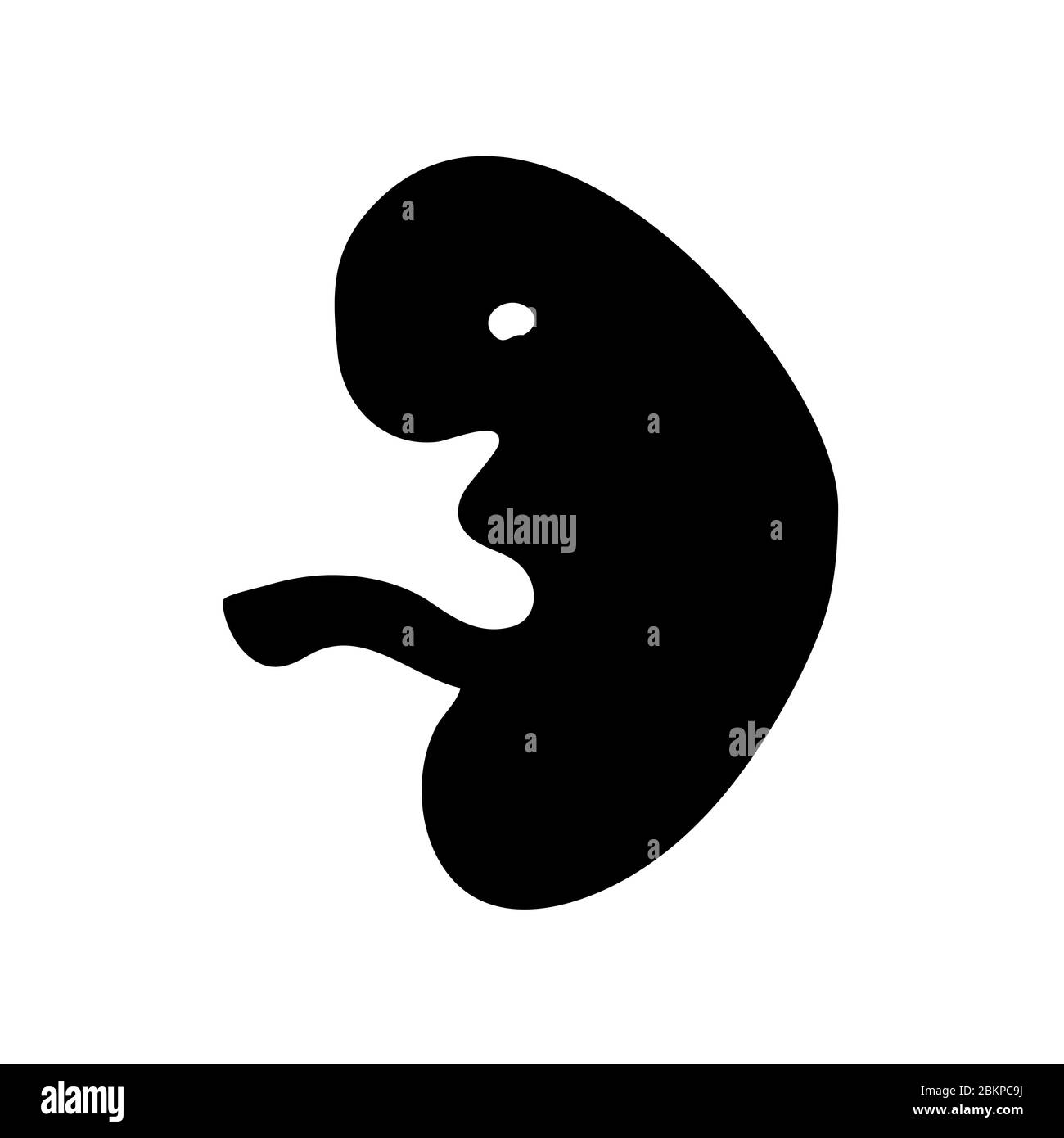 Icône de vecteur de fœtus, fœtus de jeune enfant humain, stade embryonnaire, symbole d'illustration de vecteur minimaliste Illustration de Vecteur