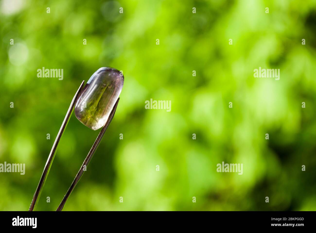Amétrine. Cristal naturel sans traitement en brucelles, sur fond vert. Placer pour le texte Banque D'Images