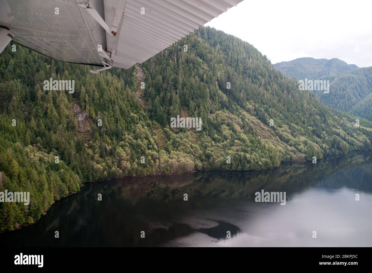 Vue aérienne d'une crique du Pacifique et de la forêt et des montagnes de la forêt tropicale du Grand Ours, côte centrale, Colombie-Britannique, Canada. Banque D'Images