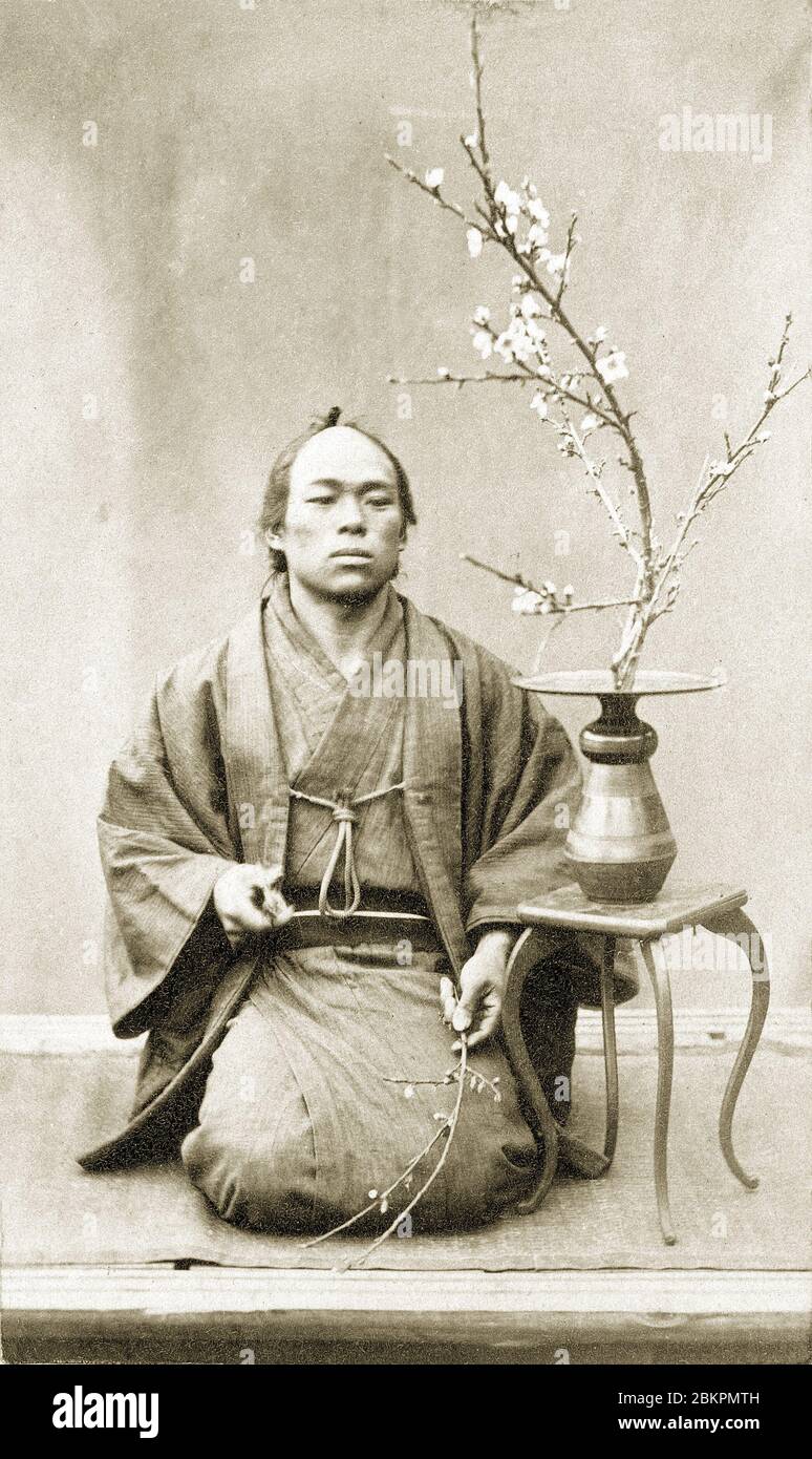 [ 1860 Japon - Arrangement de fleurs japonais ] — UN homme en kimono et en coiffure traditionnelle pratiquant l'arrangement de fleurs Ikebana, 1860-1870. photographie d'albumine vintage du xixe siècle. Banque D'Images