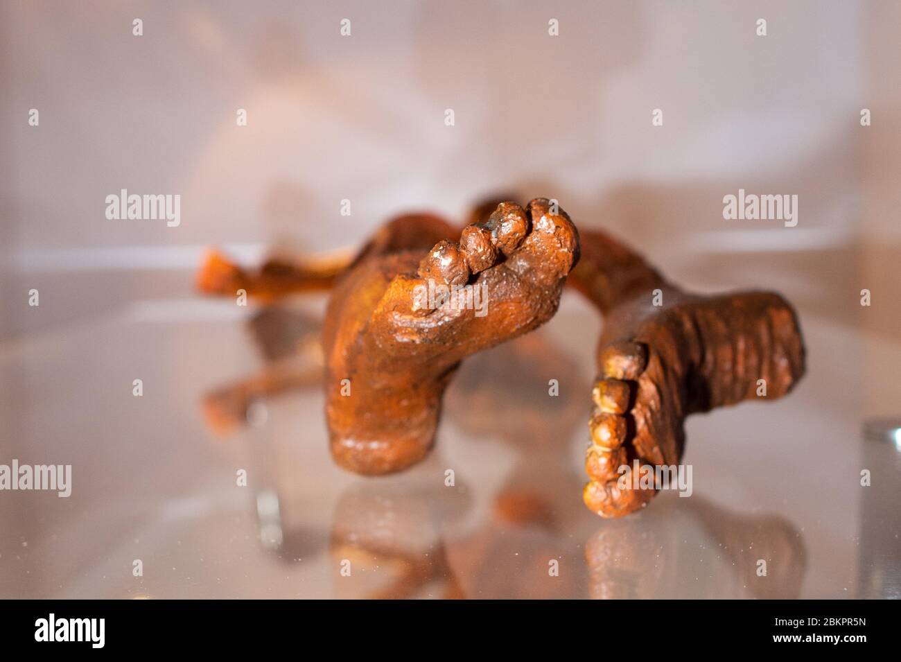 05 mai 2020, Saxe-Anhalt, Magdebourg : une réplique de l'homme de l'âge de pierre 'Ötzi', découvert dans les Alpes de l'Ötztal en 1991, est exposée au Musée d'Histoire naturelle dans l'exposition 'Ötzi. Le Iceman' sur une plaque de verre. L'exposition aurait dû ouvrir le 20 mars 2020, mais le musée a dû fermer quelques jours plus tôt en raison de la propagation du cronavirus. Depuis le 05 mai 2020, le Musée d'Histoire naturelle est de nouveau ouvert aux visiteurs. L'exposition Ötzi peut être vue jusqu'au 28 juin 2020. Credit: dpa Picture Alliance/Alay Live News Banque D'Images