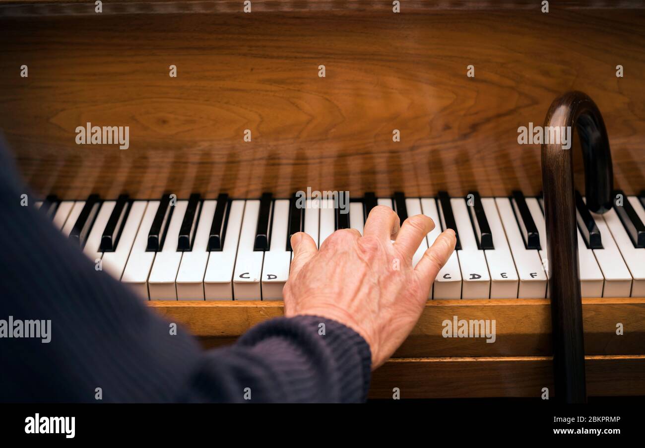 Main d'un homme âgé au piano et bâton de marche ayant une leçon de piano. Concept: Activité de vieillesse, stimulation, apprentissage, jamais trop vieux, maintien jeune. Banque D'Images