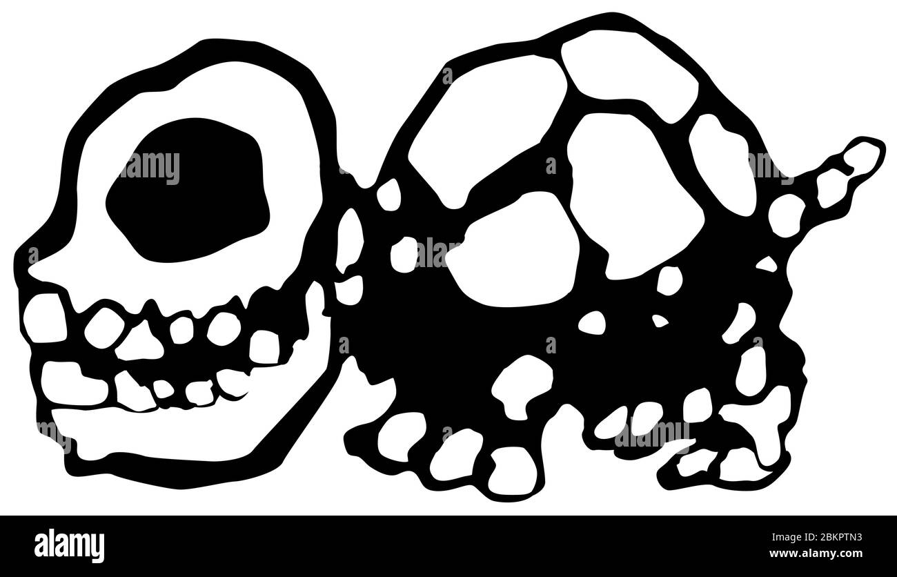 Stencil de tortue du crâne noir, illustration vectorielle, horizontal, isolé Illustration de Vecteur