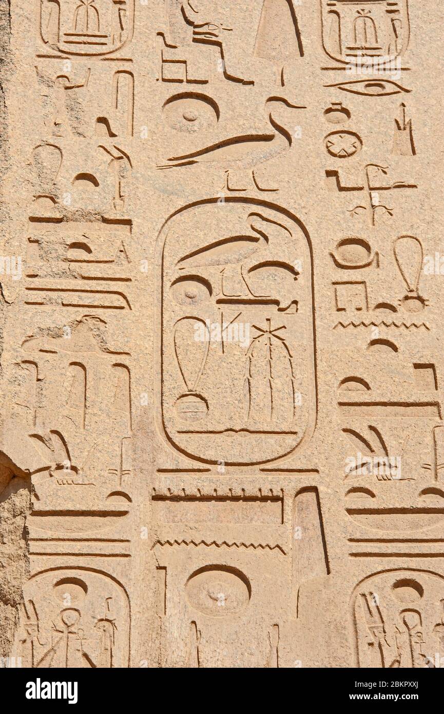 Sculptures Hieroglypic sur mur à l'ancien temple égyptien de Karnak à Louxor Banque D'Images