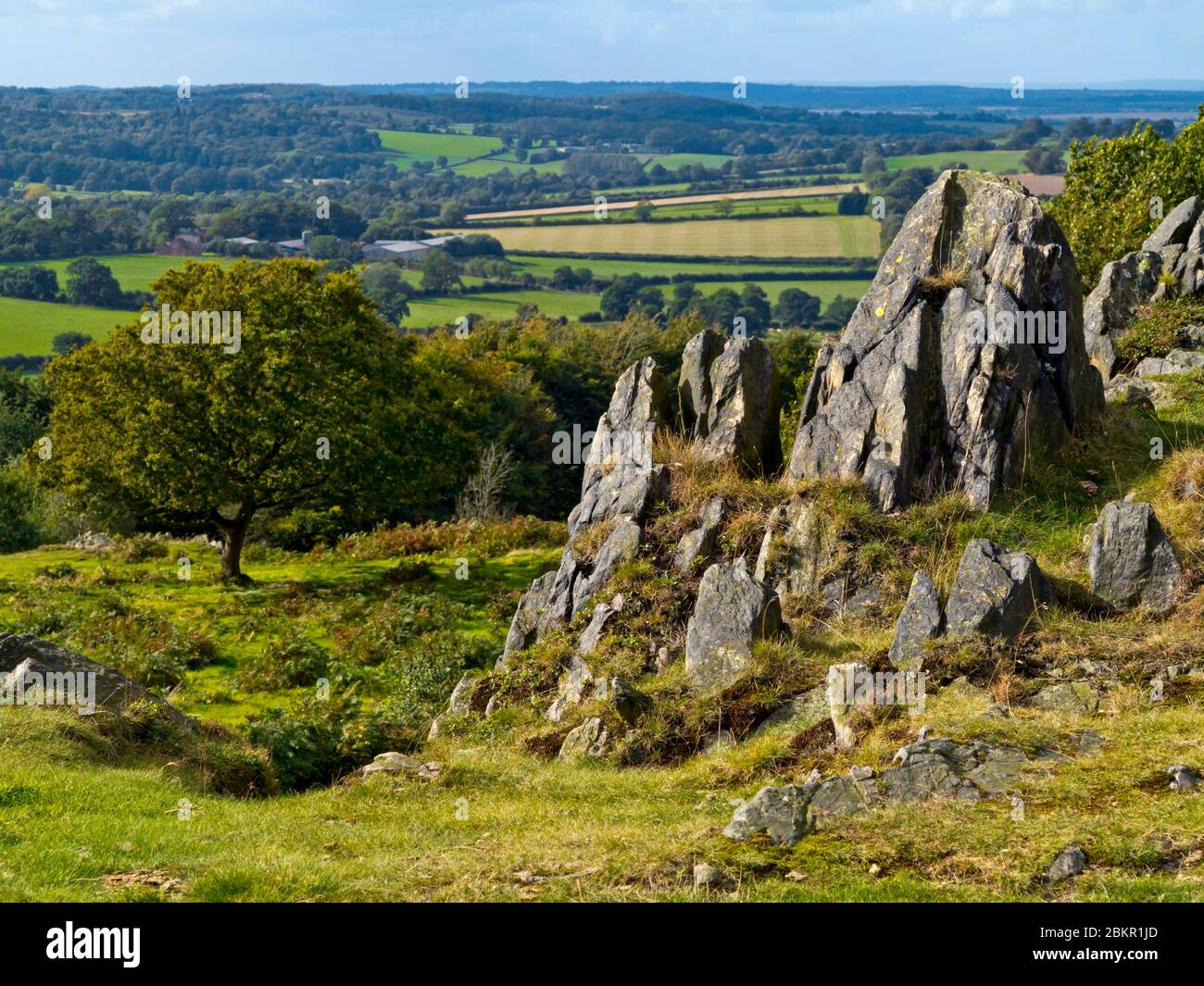 Rochers ignés au parc régional Beacon Hill près de Loughborough dans le Leicestershire, Angleterre, Royaume-Uni Banque D'Images