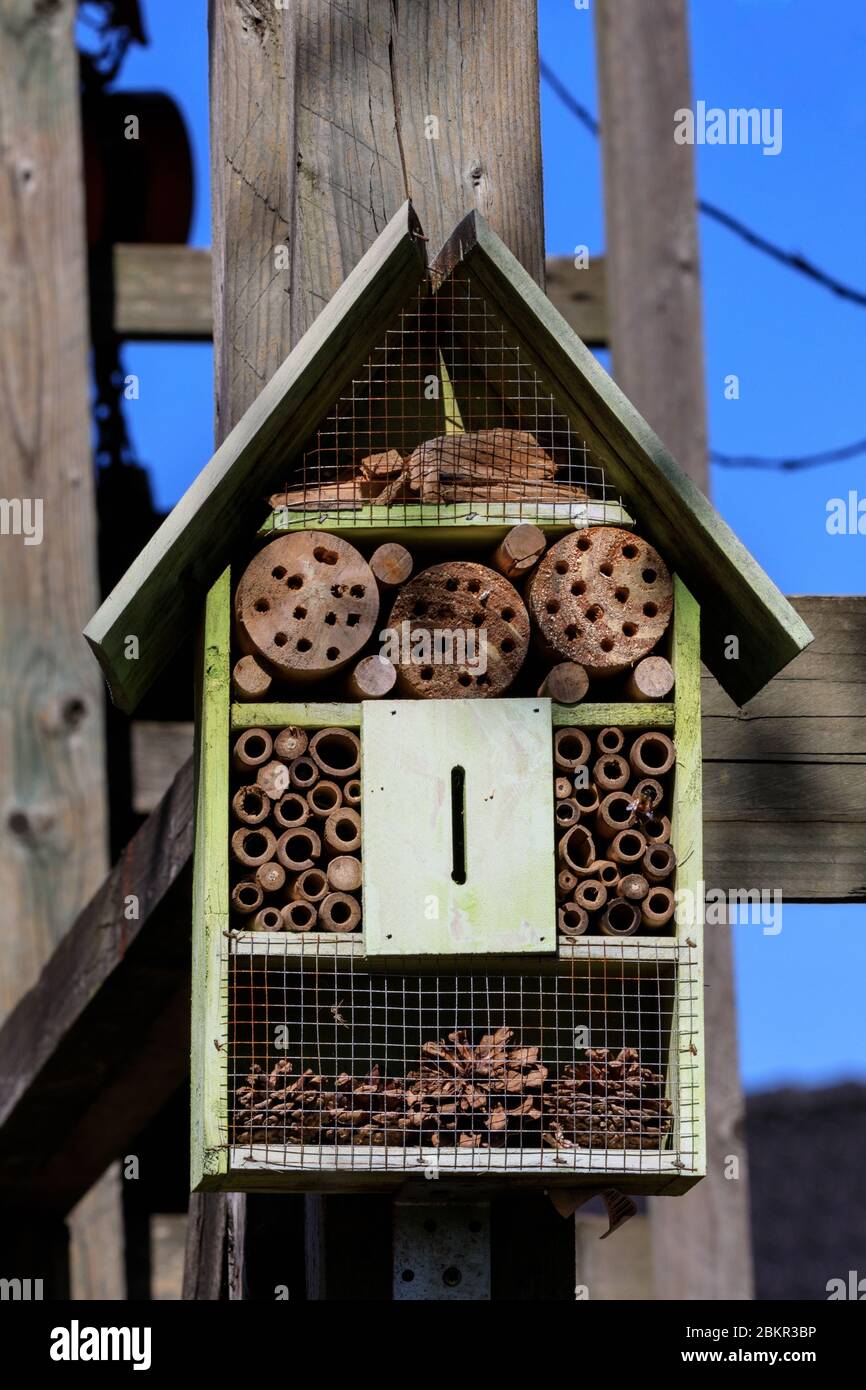 Hôtel d'abeilles et de insectes, boîte en bois fournissant un habitat de nidification d'insectes, en forme de maison Banque D'Images