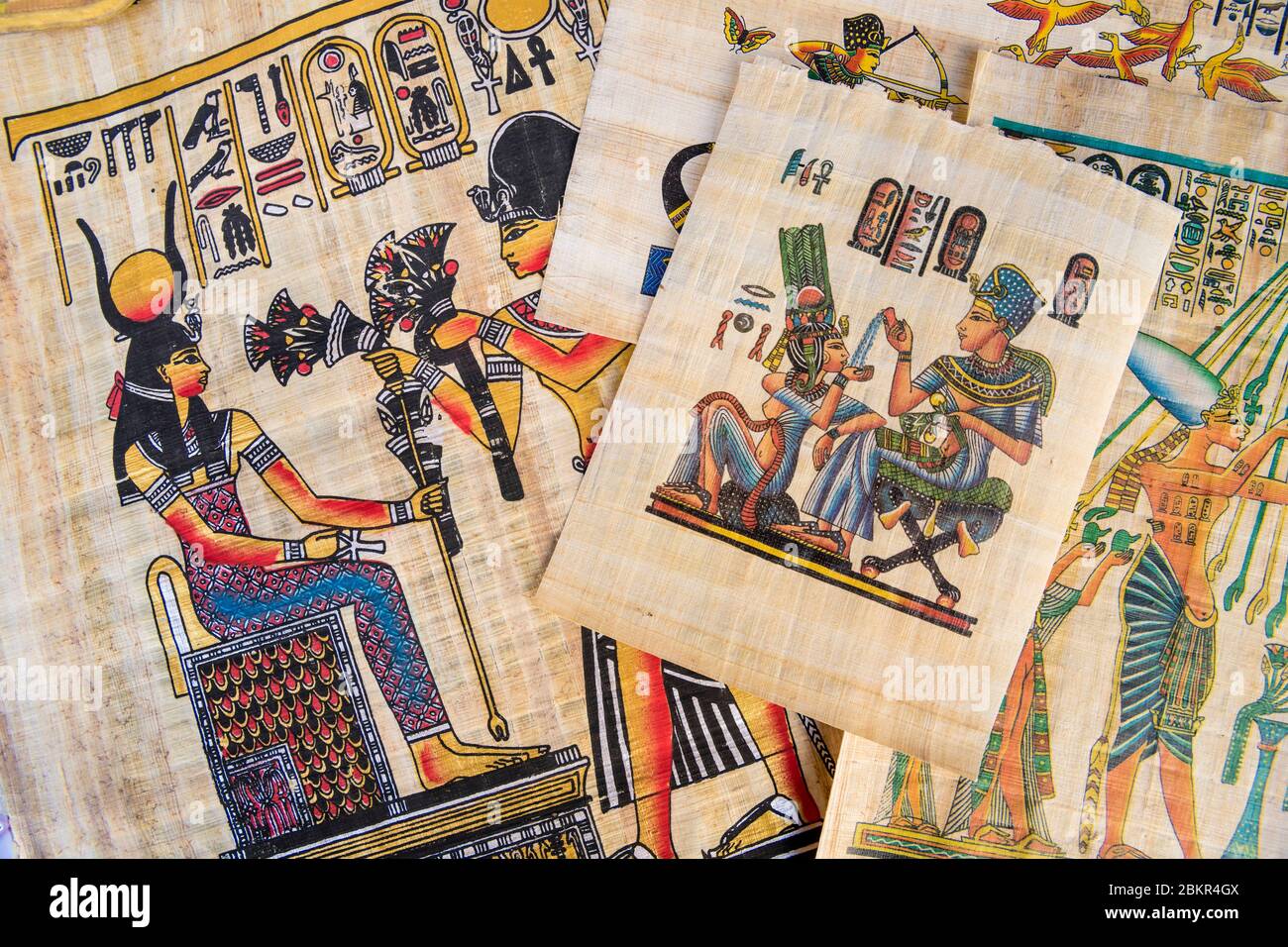 Égypte, haute Égypte, vallée du Nil, Assouan, papyrus Banque D'Images