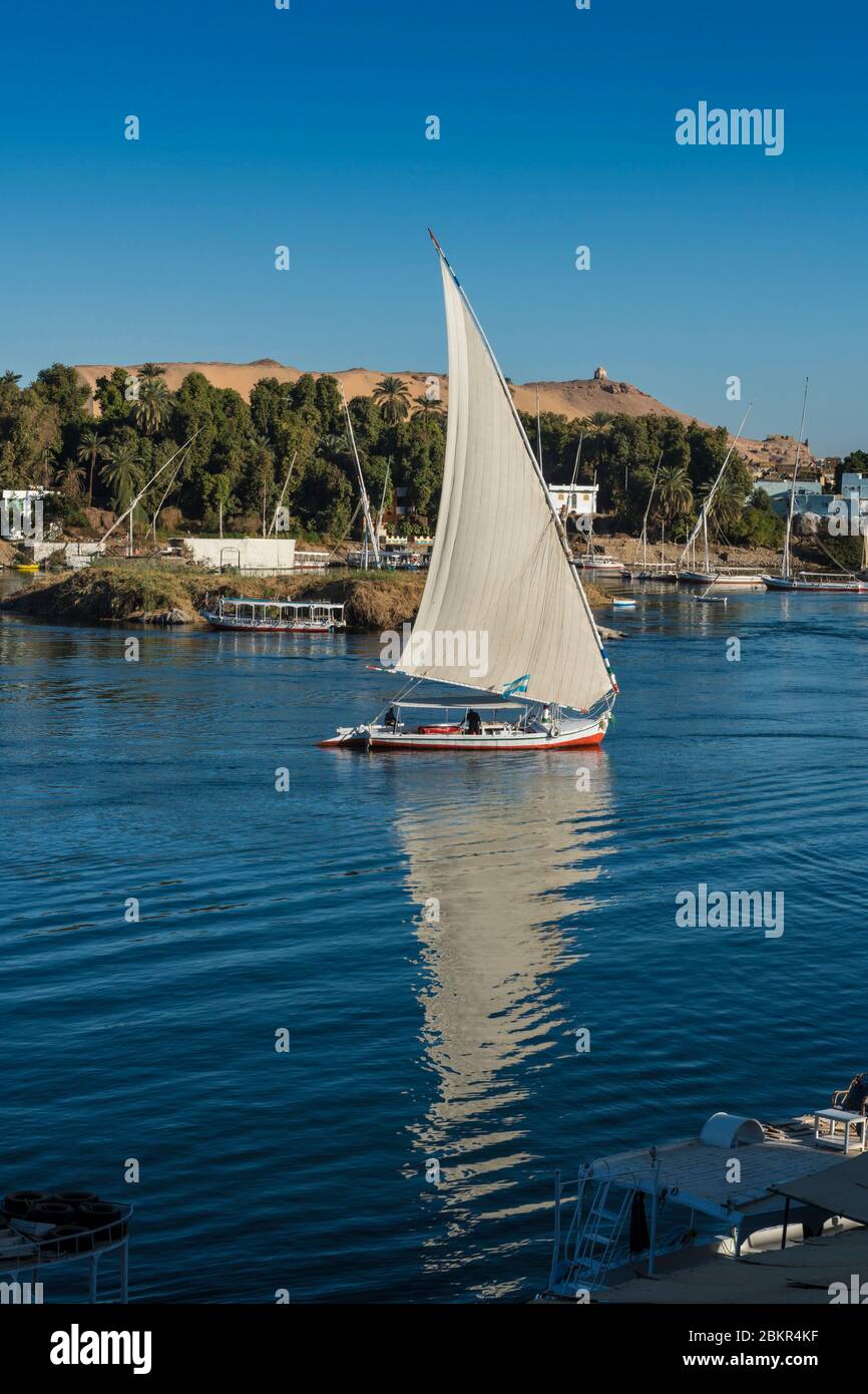 Égypte, haute Égypte, vallée du Nil, Assouan, felucca sur le Nil en face de l'île Éléphantine Banque D'Images