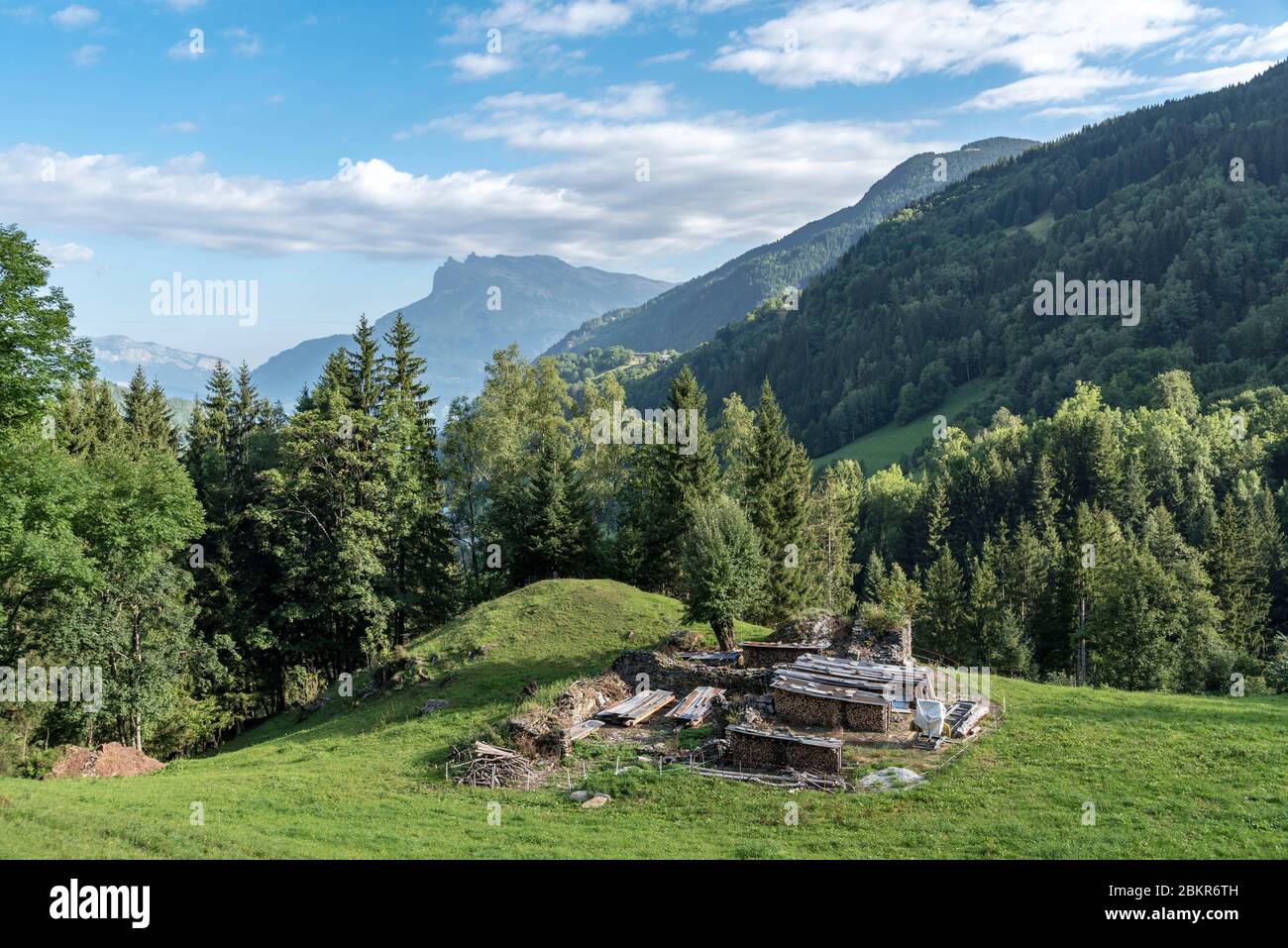 France, haute-Savoie (74), les Contamines-Montjoie, bois pour l'hiver Banque D'Images