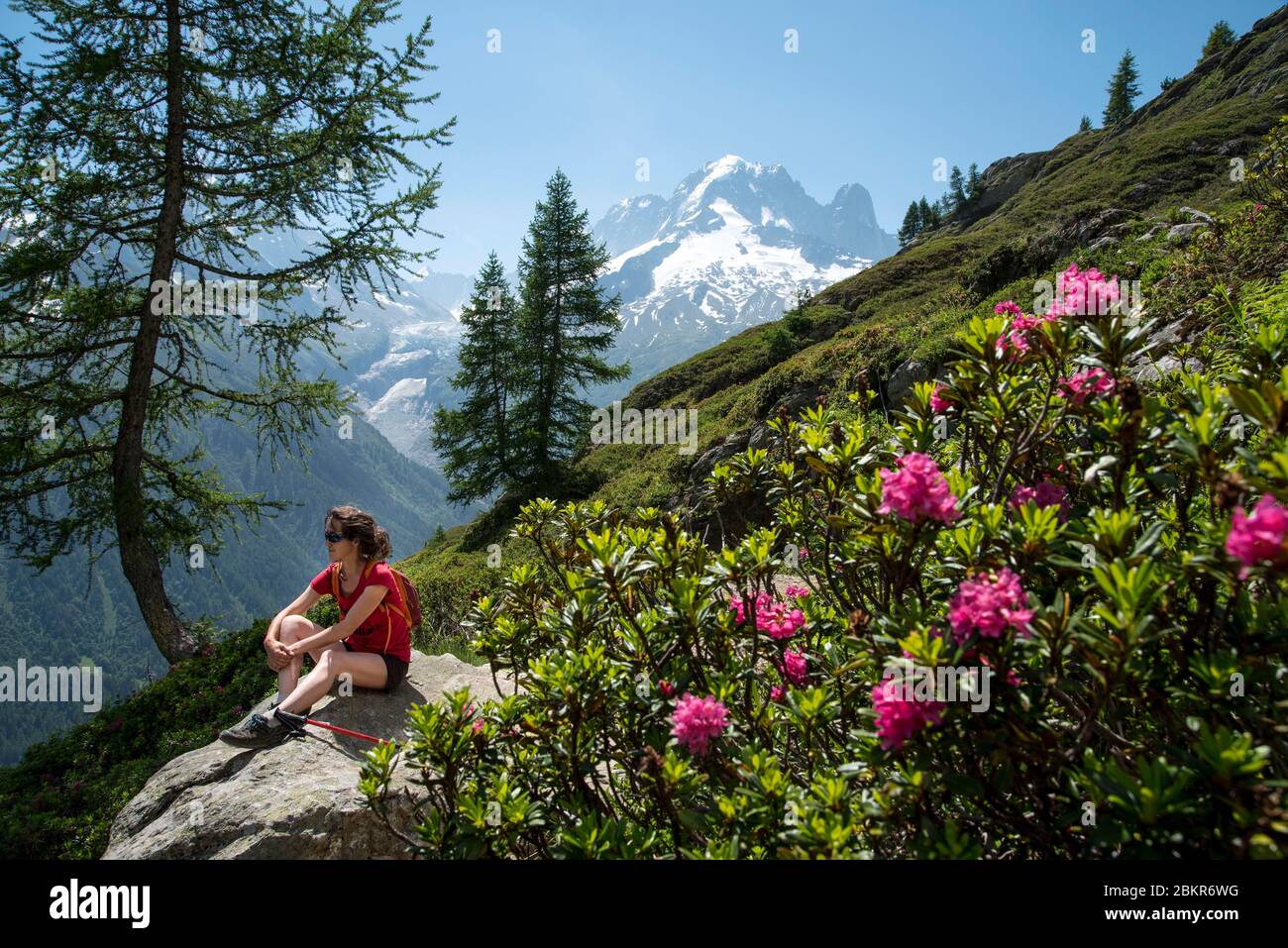 France, haute-Savoie (74), Argenti?re, Lac de la Remuaz, randonneur sur le GRP Tour du pays du Mont-blanc avec l'aiguille verte (4122m) et le Drus (3754m) en arrière-plan Banque D'Images