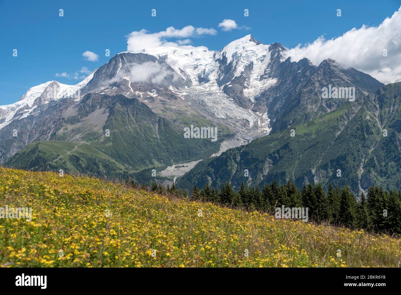 France, haute-Savoie (74), Saint-Gervais, le Prarion, vue sur le massif du Mont-blanc depuis le chemin menant au sommet du Prarion Banque D'Images