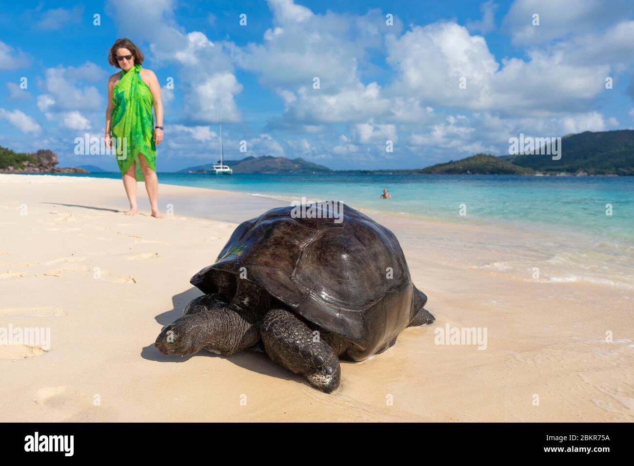Seychelles, île Curieuse, femme à la recherche d'une tortue géante sur la plage de San Jose Banque D'Images