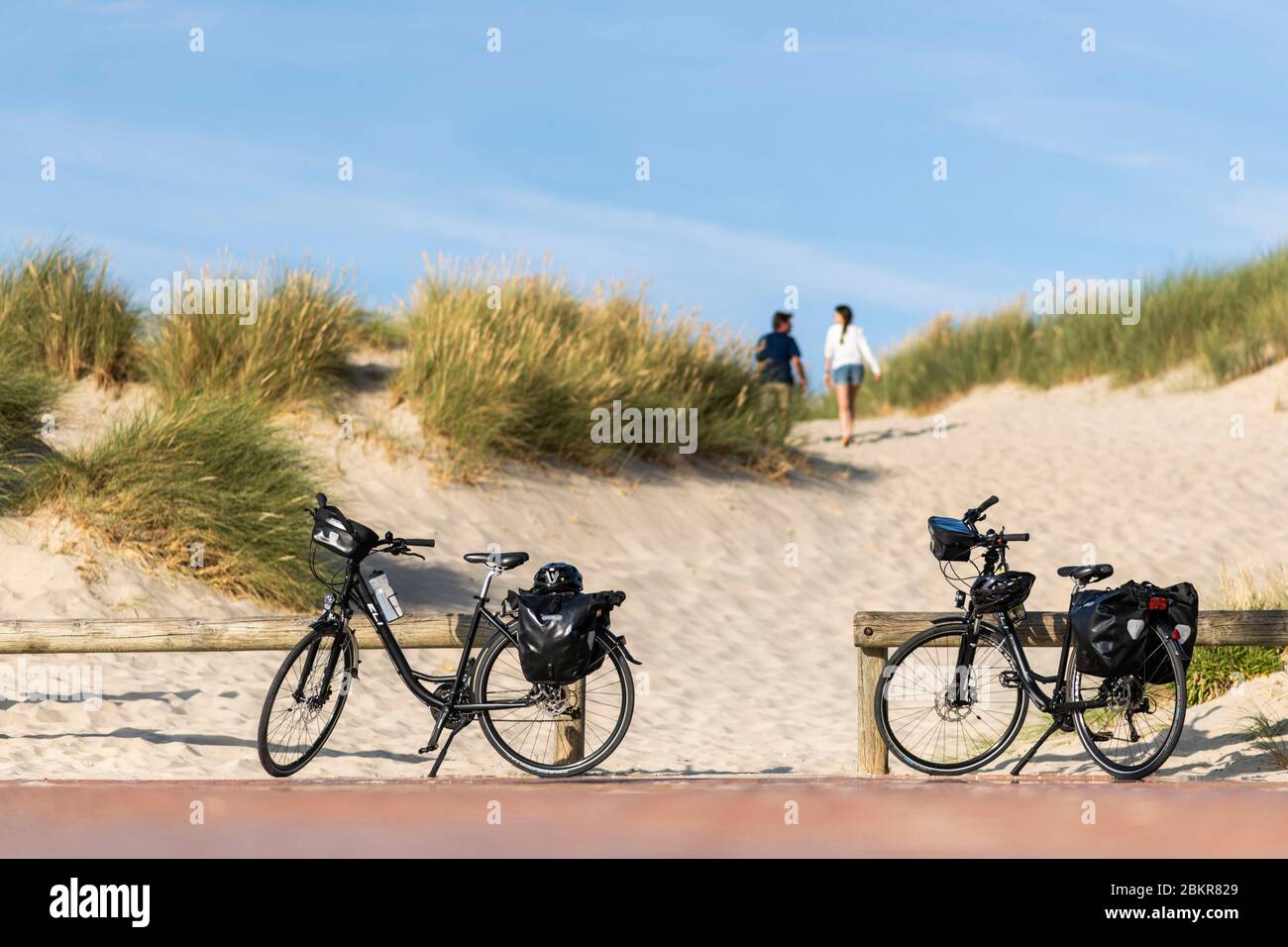 France, Nord, Bray-Dunes, Dune du Perroquet, touristes cyclistes sur la route maritime du vélo Banque D'Images