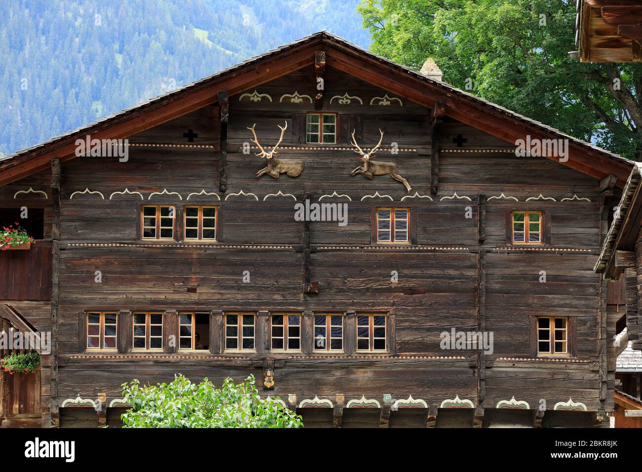 Suisse, canton du Valais, Ernen, chalet en bois Banque D'Images