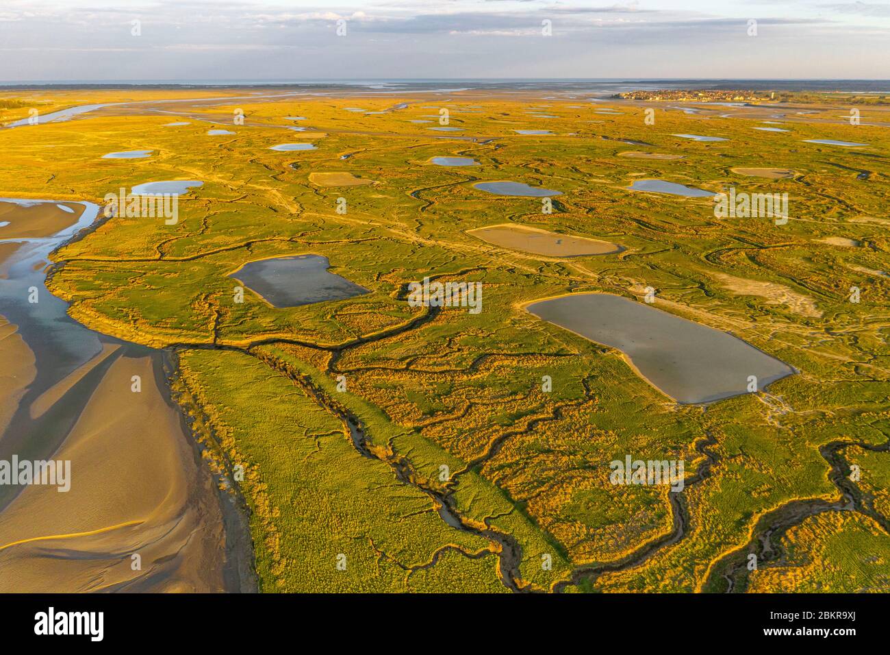 France, somme (80), Baie de somme, Saint-Valery-sur-somme, les prés salés de la Baie de somme sous une belle lumière du matin, vue sur le Crotoy (vue aérienne) Banque D'Images