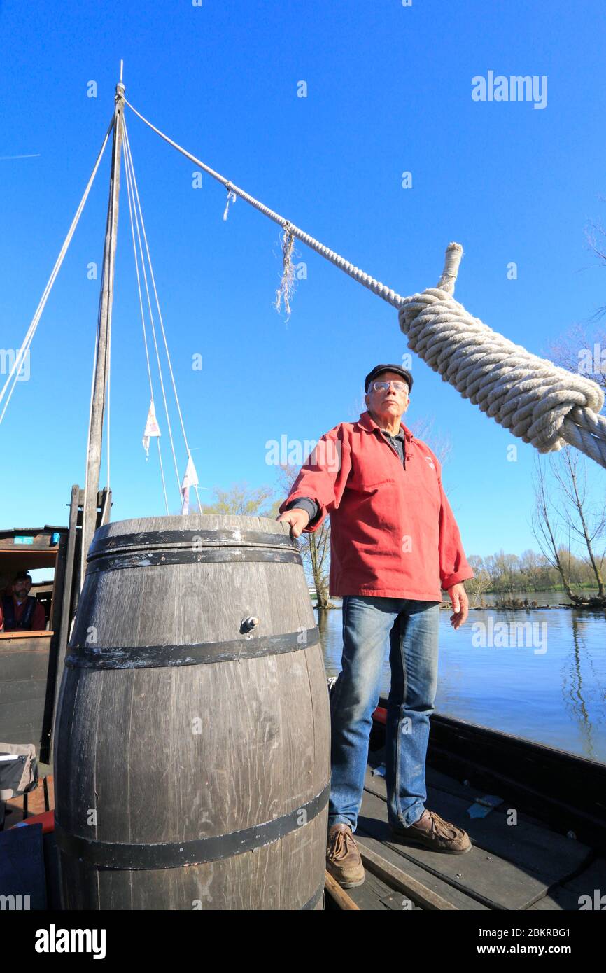 France, Loiret, Orléans, promenade sur une toue (bateau traditionnel de la Loire) organisée par les compagnons Chalandiers Banque D'Images