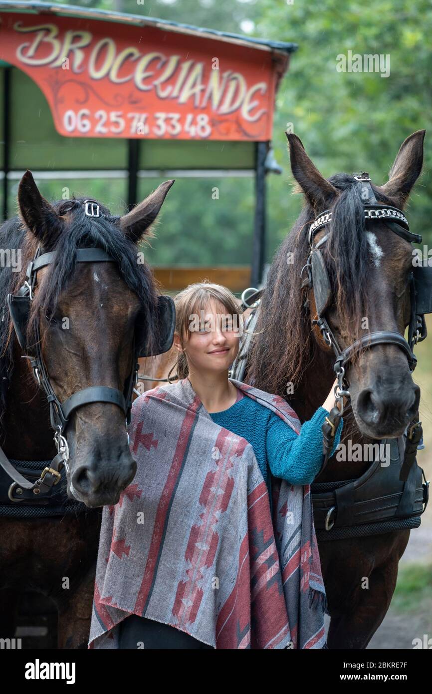 France, Morbihan, Trehorenteuc, jeune femme et ses chevaux en préparation pour une promenade en traîneau à Val-sans-Retour dans la forêt de Broceliande Banque D'Images