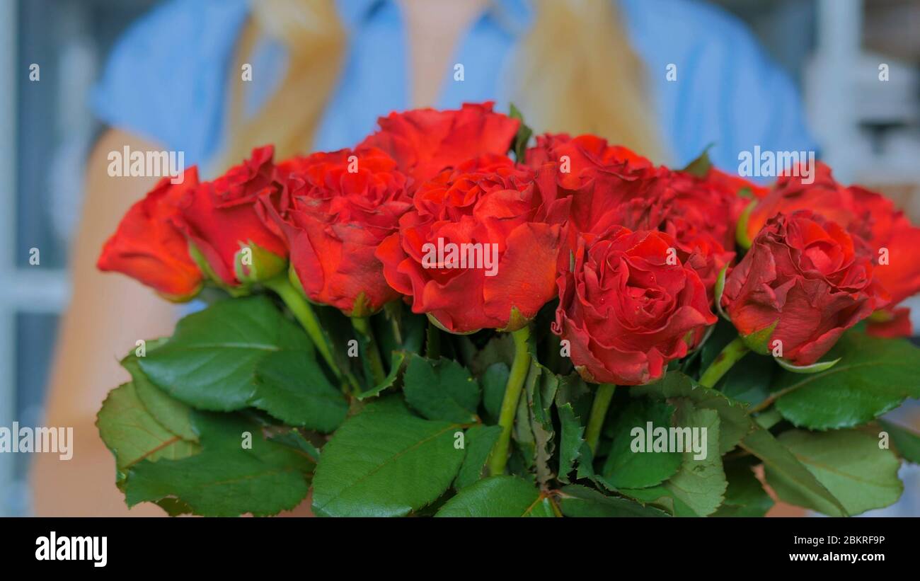 Femme professionnelle artiste florale, fleuriste préparant des fleurs - roses rouges pour le bouquet à l'atelier, fleuriste. Fleuriste, fait main et petite entreprise Banque D'Images