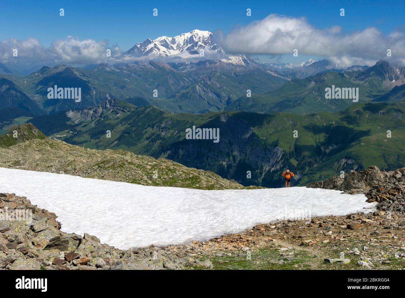 France, Savoie, Beaufortain, en direction du Grand Mont depuis le Col de la Louze, au fond du massif du Mont-blanc Banque D'Images