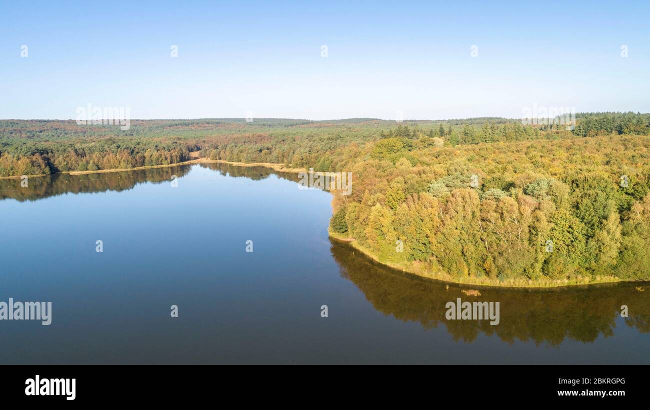 France, Ille-et-Vilaine, Broceliande forêt autour de l'étang de Paimont Banque D'Images