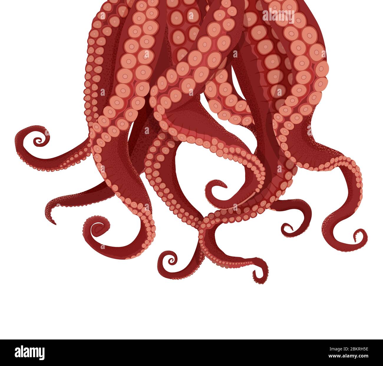 Tentacules pieuvre et seiche. Tentacules pourpres kraken suckers rouges. Illustration de Vecteur