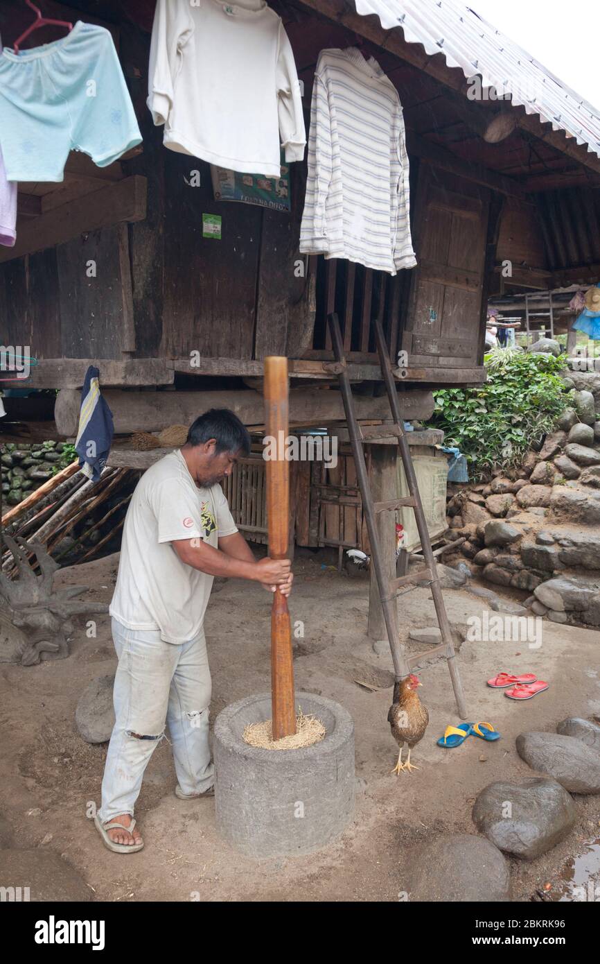 Philippines, île de Luzon, province d'Ifugao, village de Batad, concassage Banque D'Images