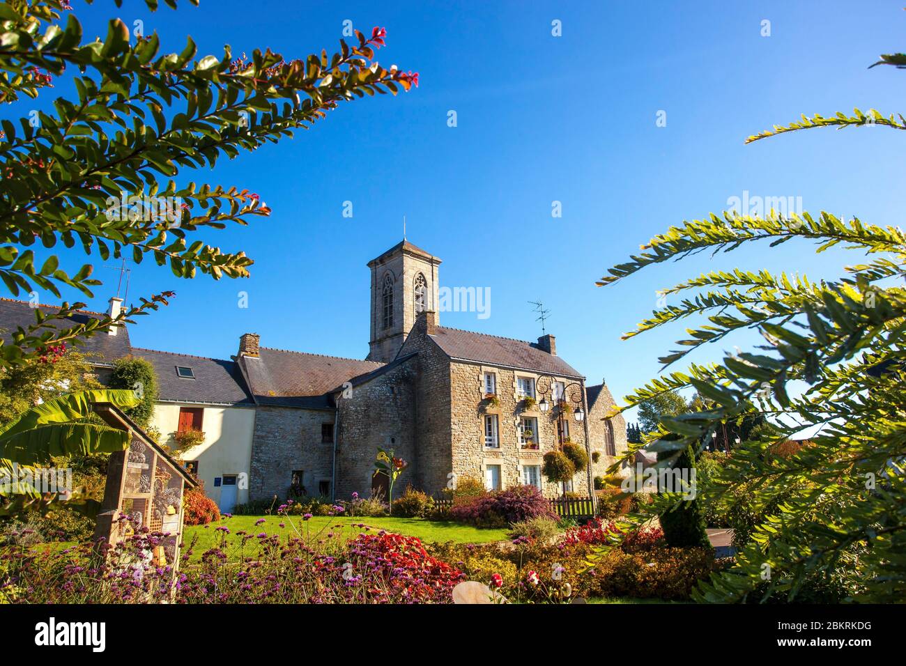 France, Morbihan, la VRAie Croix, floraison automnale devant l'église Banque D'Images