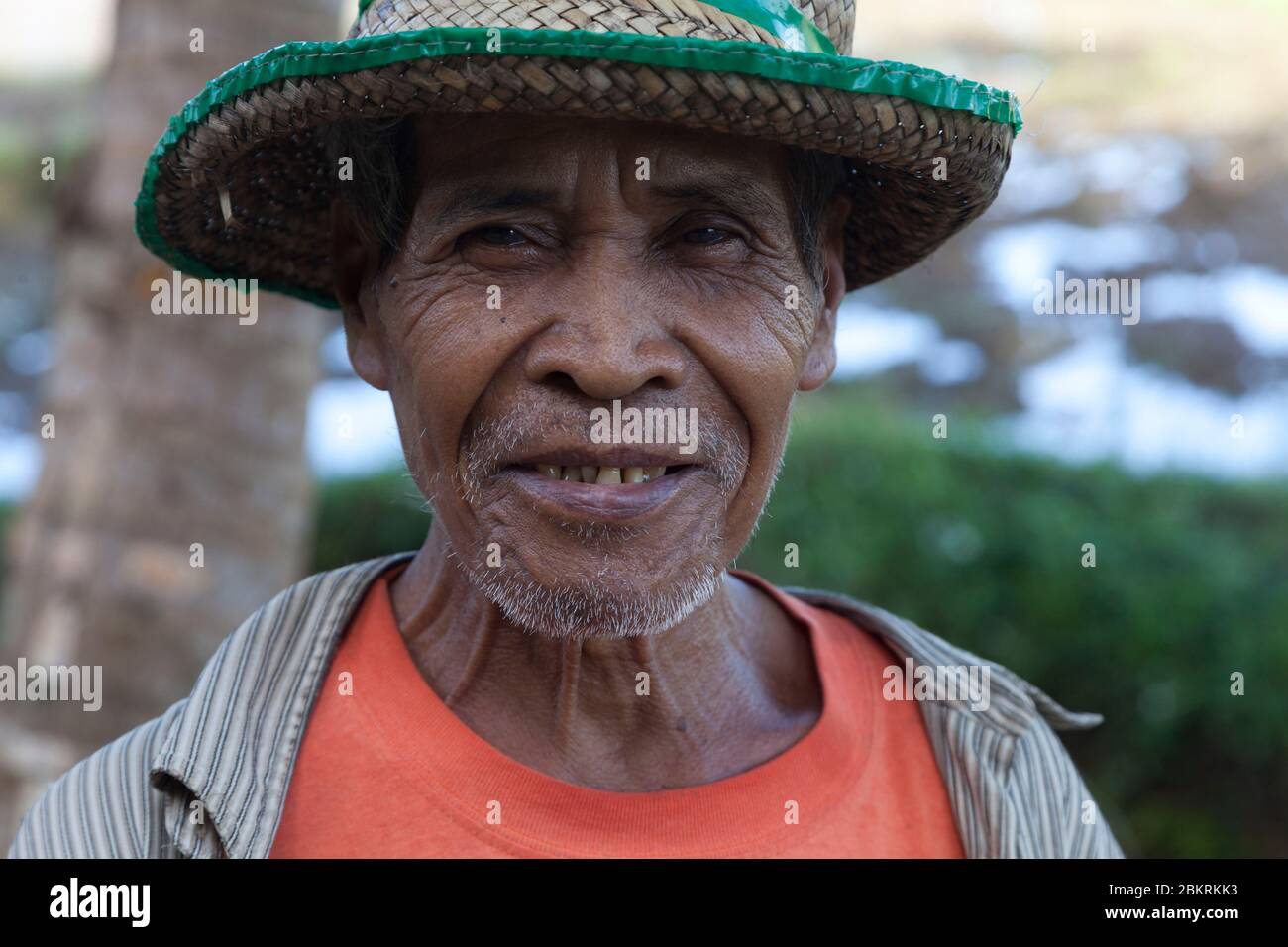 Philippines, archipel des Visayas, île de Bohol, Chocolate Hills Banque D'Images