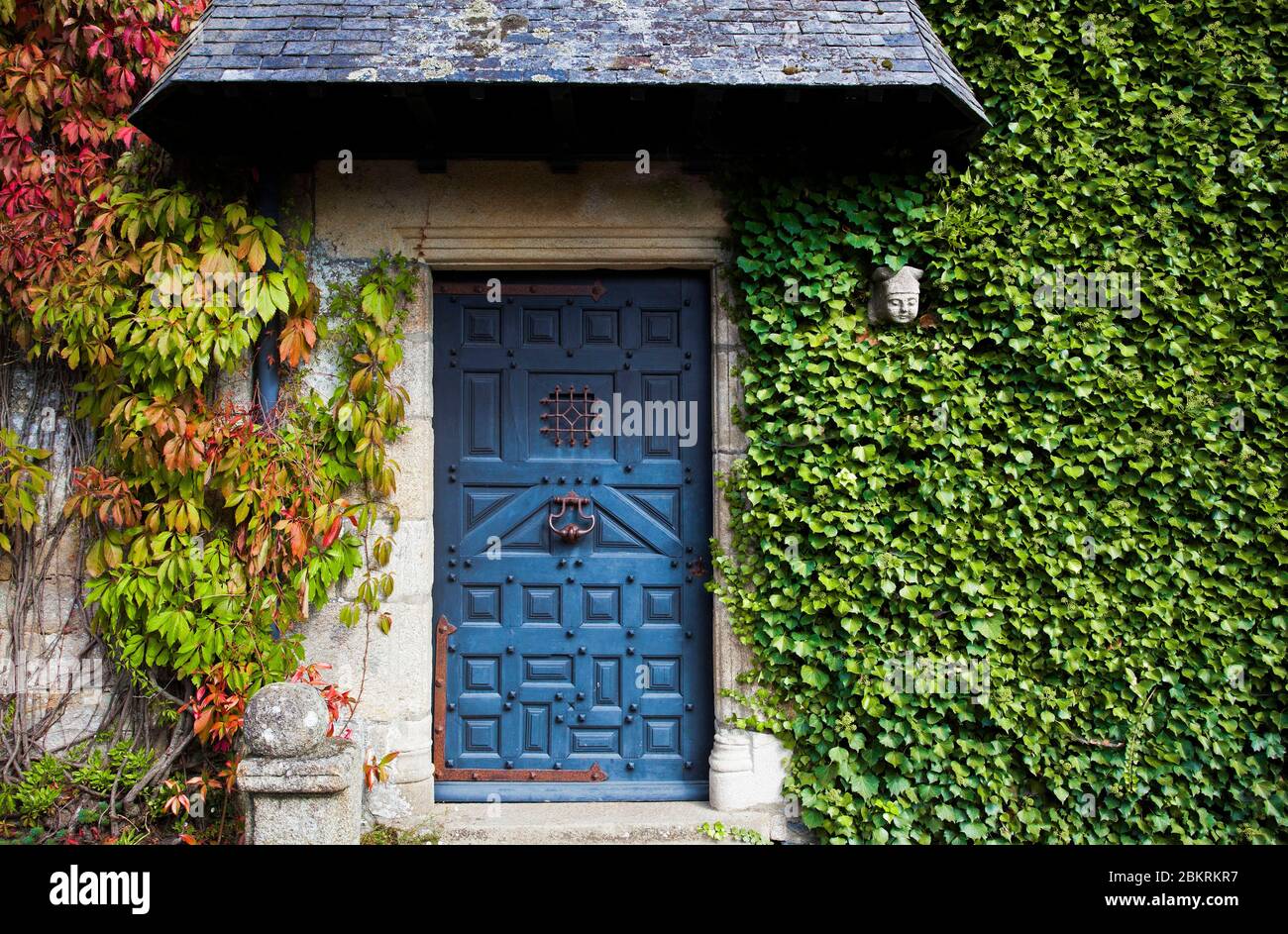 France, Morbihan, Rochefort en Terre, ancienne porte bleue et façade de lierre à Rochefort en Terre, le village préféré des Français 2016 Banque D'Images