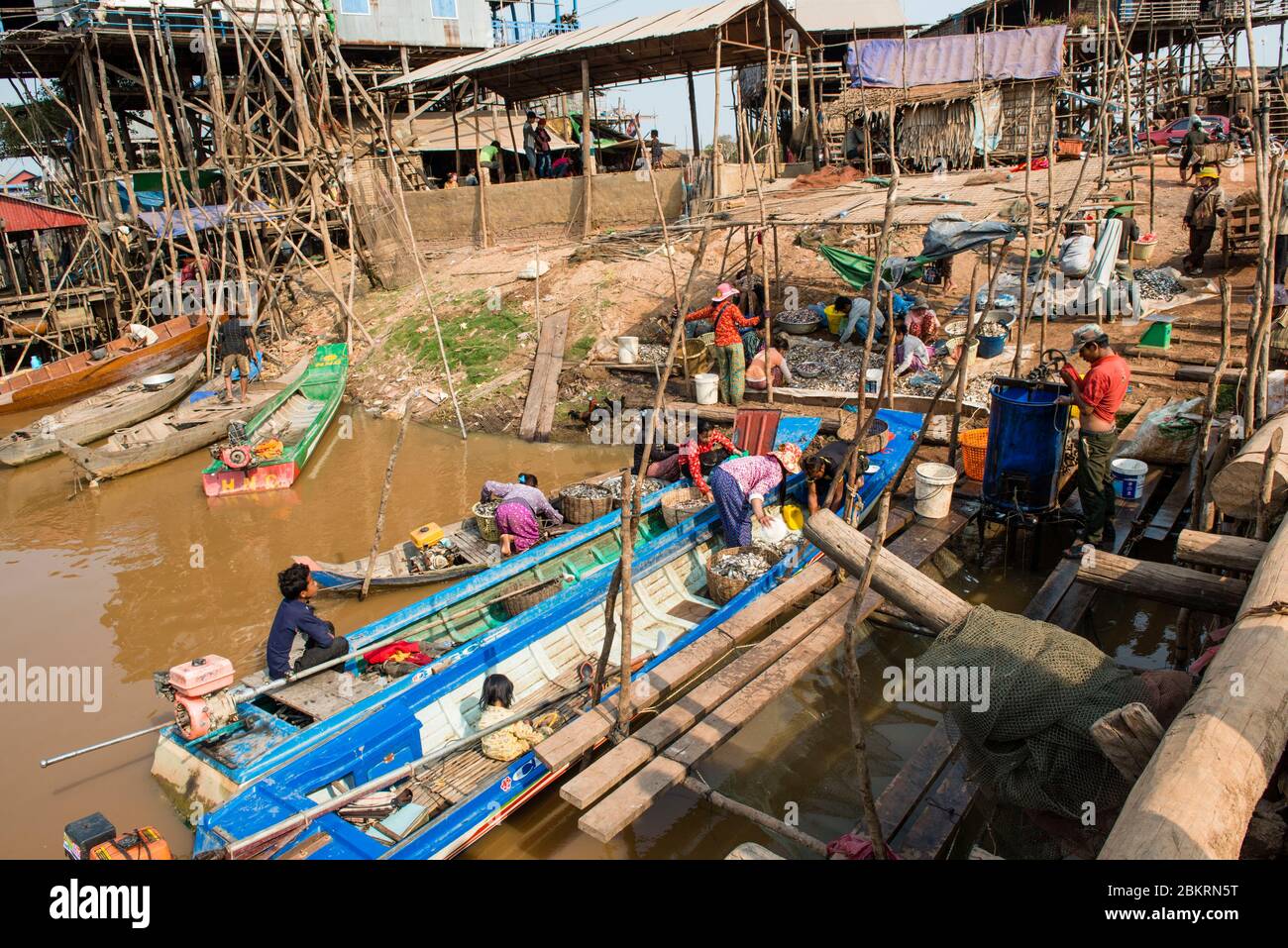 Cambodge, Kompong Kleang ou Kampong Kleang, village sur pilotis au bord du lac Tonle SAP, de retour de la pêche Banque D'Images