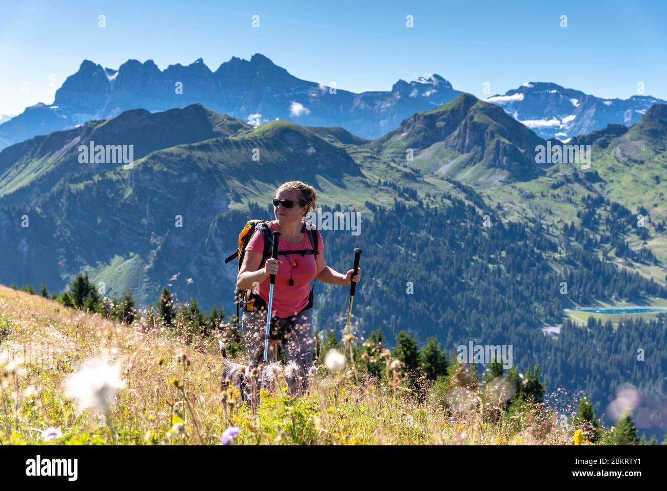 France, haute Savoie, massif du Chablais, val d'abondance, randonneur sur la crête de Coicon Banque D'Images
