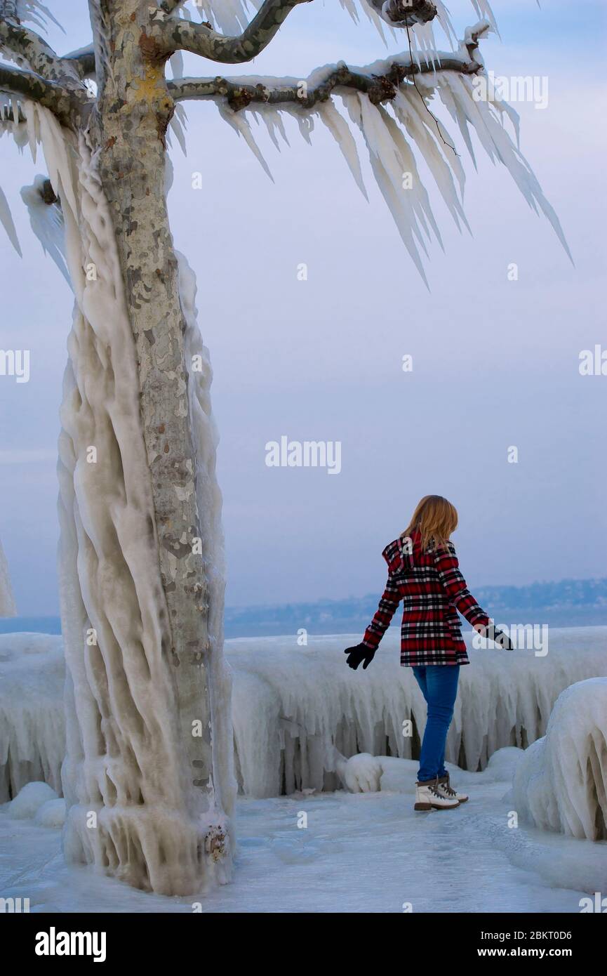 Suisse, canton de Genève, Versoix, les bords du lac Léman se gelant dans un vent très fort et froid, arbres couverts de glace Banque D'Images