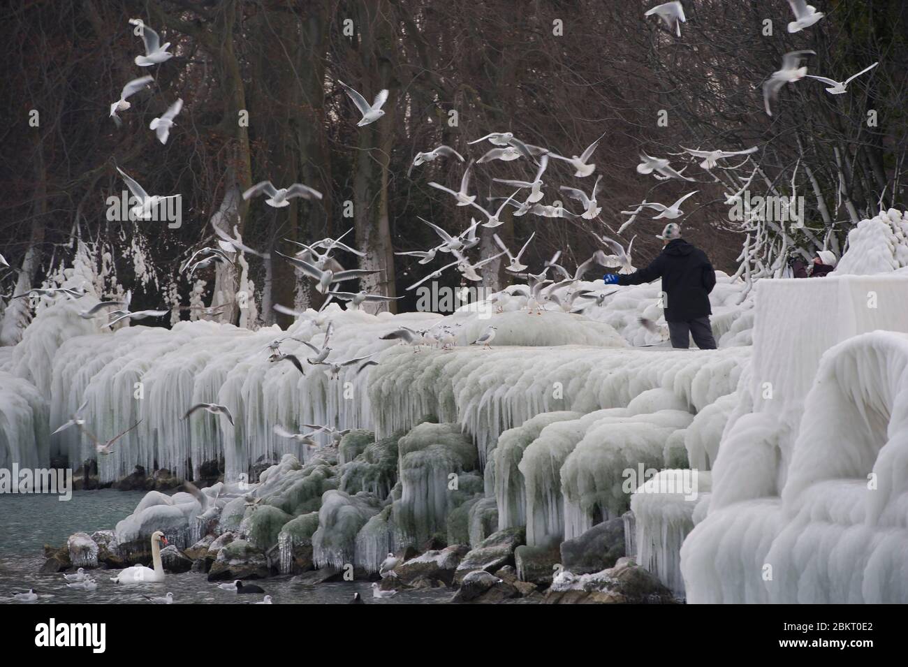 Suisse, canton de Genève, Versoix, les bords du lac Léman se gelant sous un vent très fort et froid, pontons couverts de glace Banque D'Images
