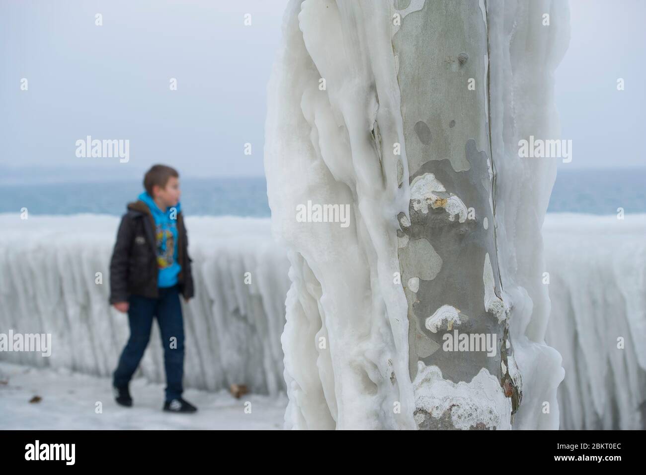 Suisse, canton de Genève, Versoix, les bords du lac Léman se gelant dans un vent très fort et froid, arbres couverts de glace Banque D'Images