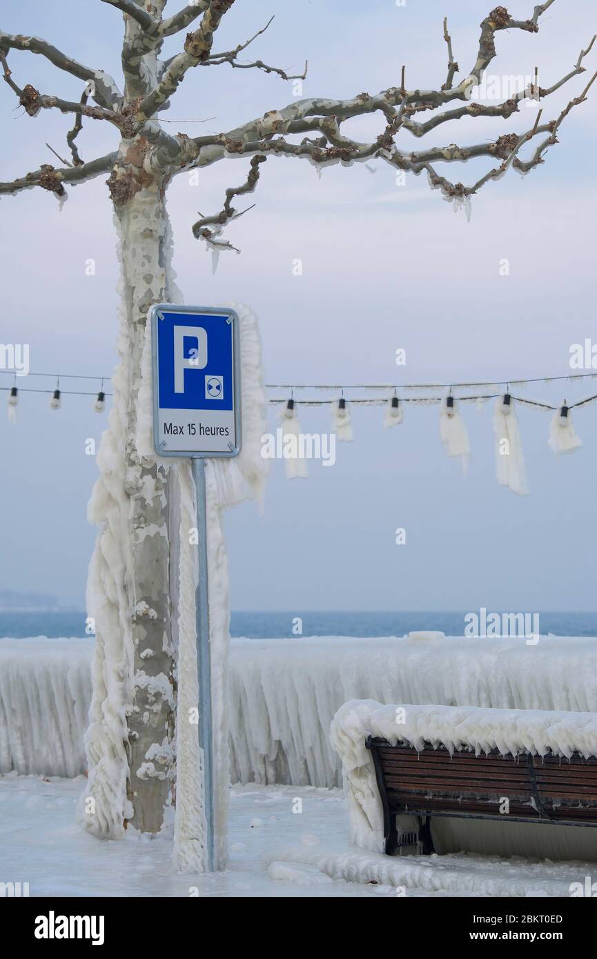 Suisse, canton de Genève, Versoix, les bords du lac Léman se gelant dans un vent très fort et froid, arbres couverts de glace Banque D'Images