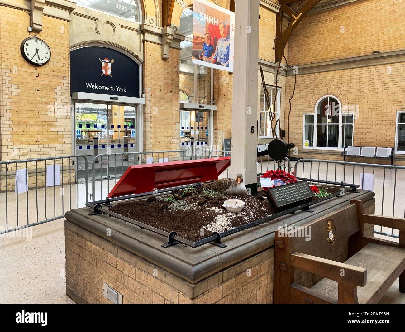 « Lucy » l'OIE qui a pondu trois œufs dans un lit de fleurs à l'entrée de la gare de York, Angleterre, Royaume-Uni. La station reste ouverte aux employés de clés seulement pendant le verrouillage de covid19 et par la suite, il a été beaucoup moins occupé. Banque D'Images