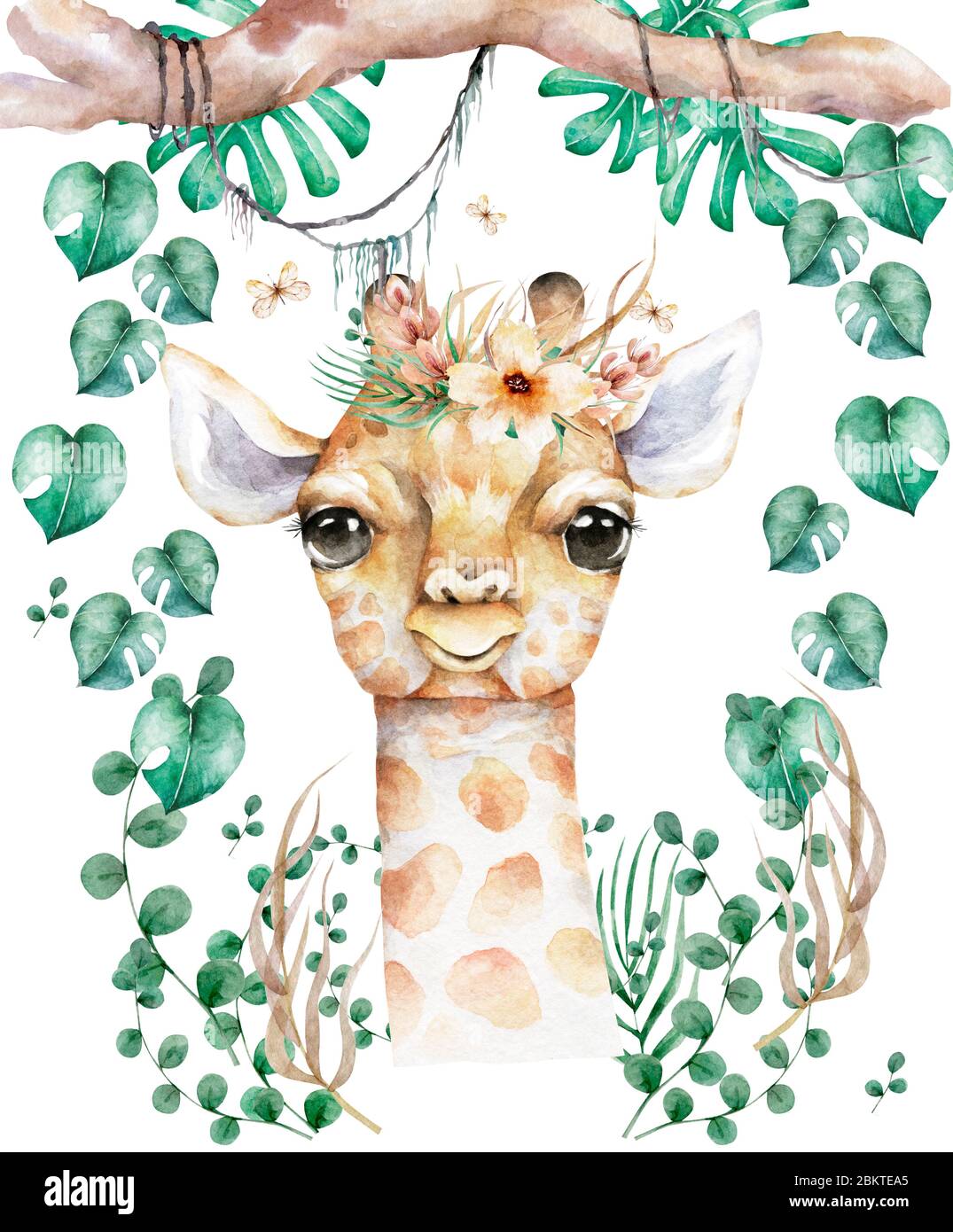 Affiche Avec Girafe Dessin Anime Aquarelle Girafe Illustration D Animaux Tropicaux Cadre D Ete Exotique Jungle Photo Stock Alamy Affiche Avec Girafe Dessin Anime Aquarelle Girafe Illustration D Animaux Tropicaux Cadre D Ete Exotique Jungle Photo Stock Alamy