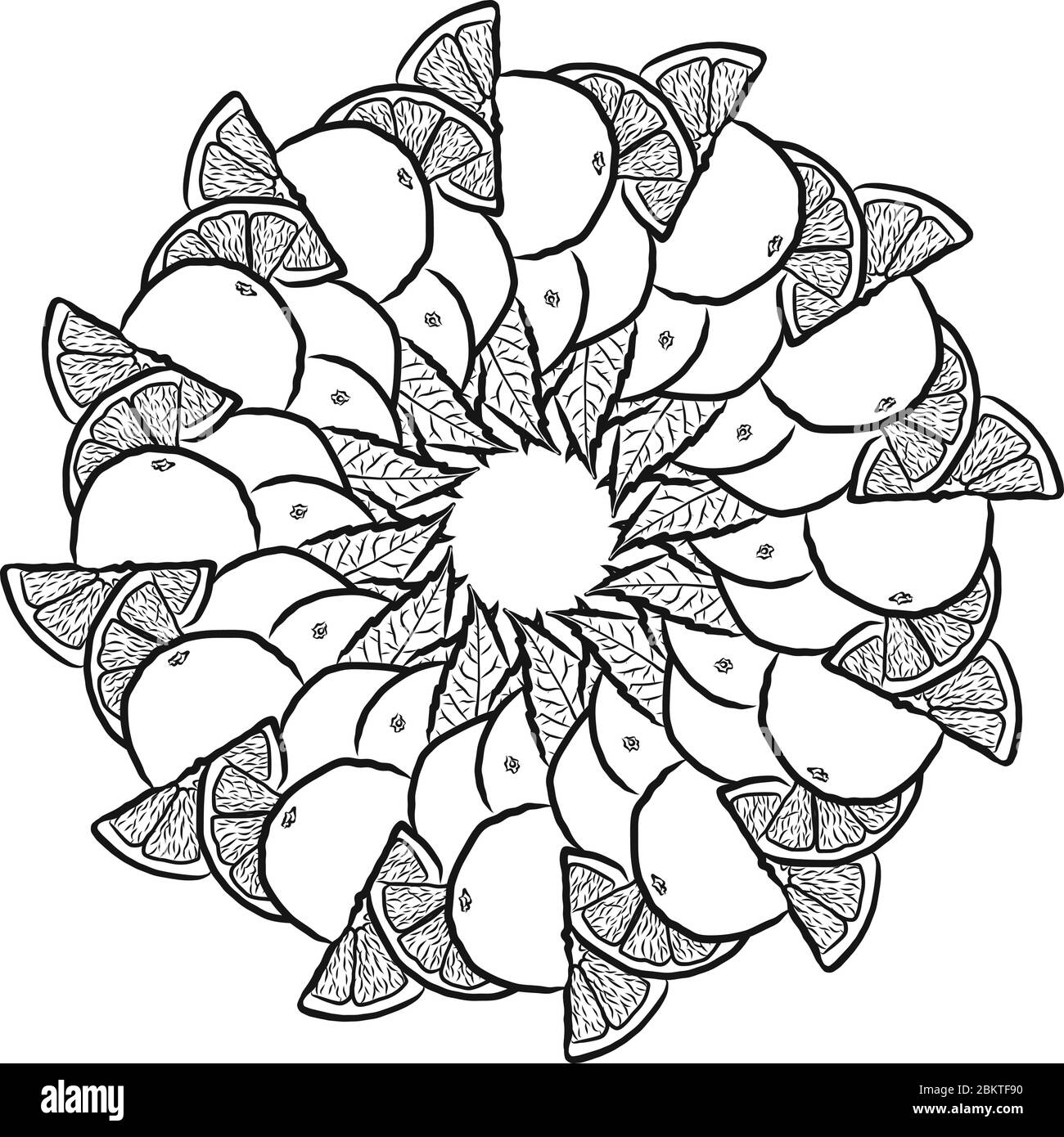 Version vectorielle des oranges disposées en cercle. Composition ronde sans couture avec fruits dessinés à la main. Illustration vectorielle en blanc Illustration de Vecteur