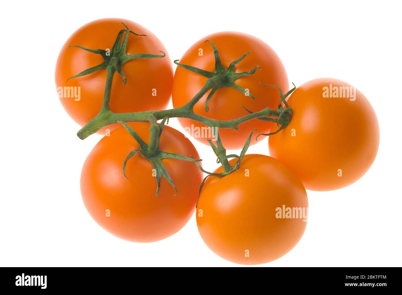 Bouquet de tomates fraîches mûres à tige verte, isolées sur fond blanc. Prise de vue en studio. Banque D'Images