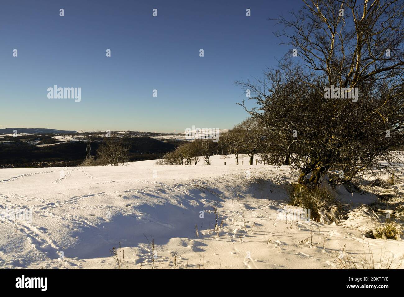 Vue grand angle en paysage d'un champ recouvert de neige Banque D'Images