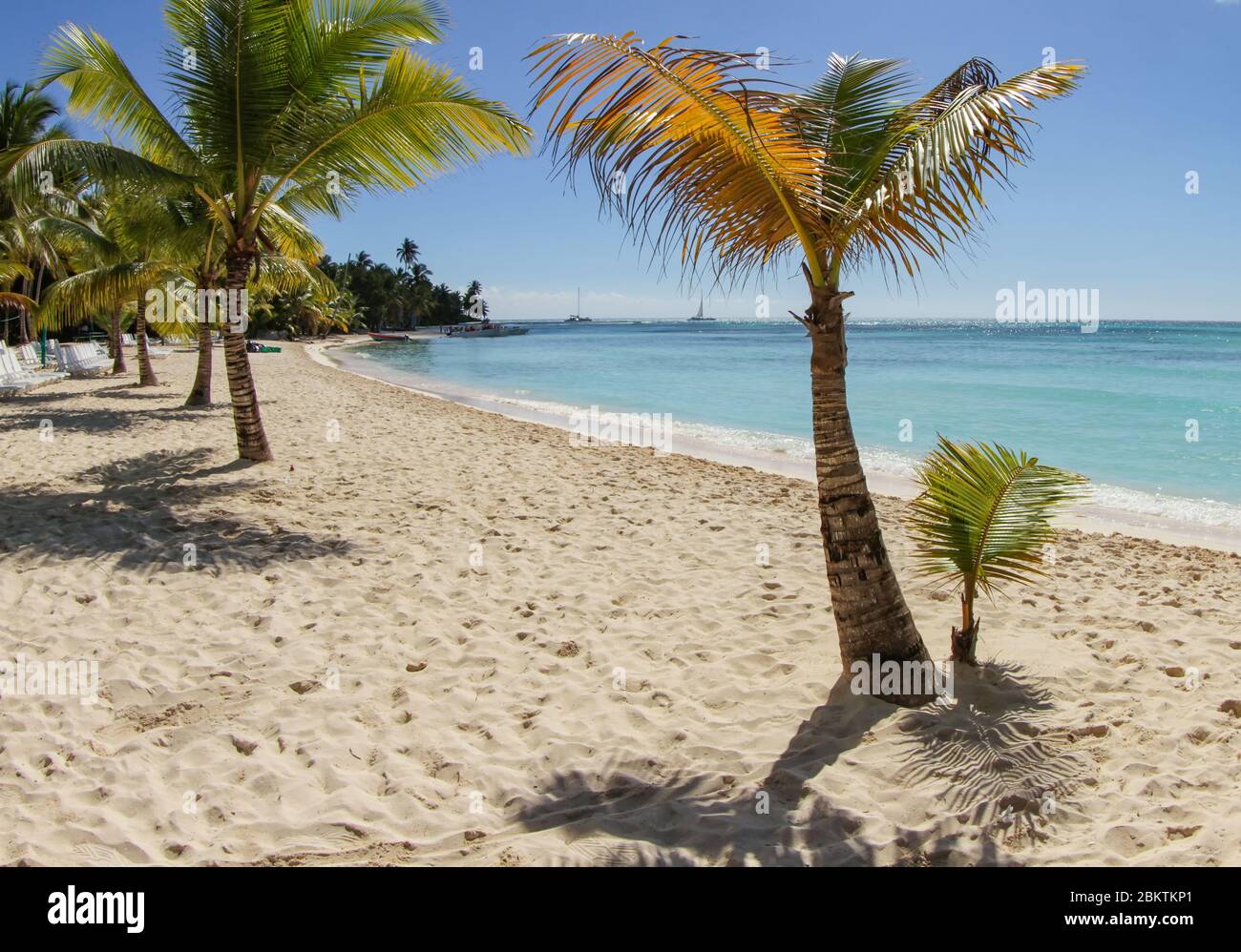 Les palmiers, le sable et l'océan sont les vues relaxantes depuis les plages de l'île de Saona. Banque D'Images