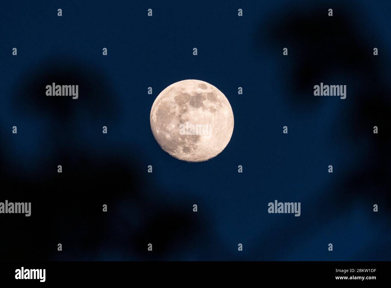 Londres, Royaume-Uni. 5 mai 2020. Météo au Royaume-Uni - une lune de gibbures à 95 % se lève au-dessus de la capitale lors d'une soirée claire alors que le Royaume-Uni entre dans sa sixième semaine de confinement du coronavirus. Les prévisions pour les prochains jours sont pour le soleil et les conditions sèches avant la pleine lune de ce mois-ci, le 7 mai, qui est connu sous le nom de la Lune des fleurs. Credit: Stephen Chung / Alay Live News Banque D'Images