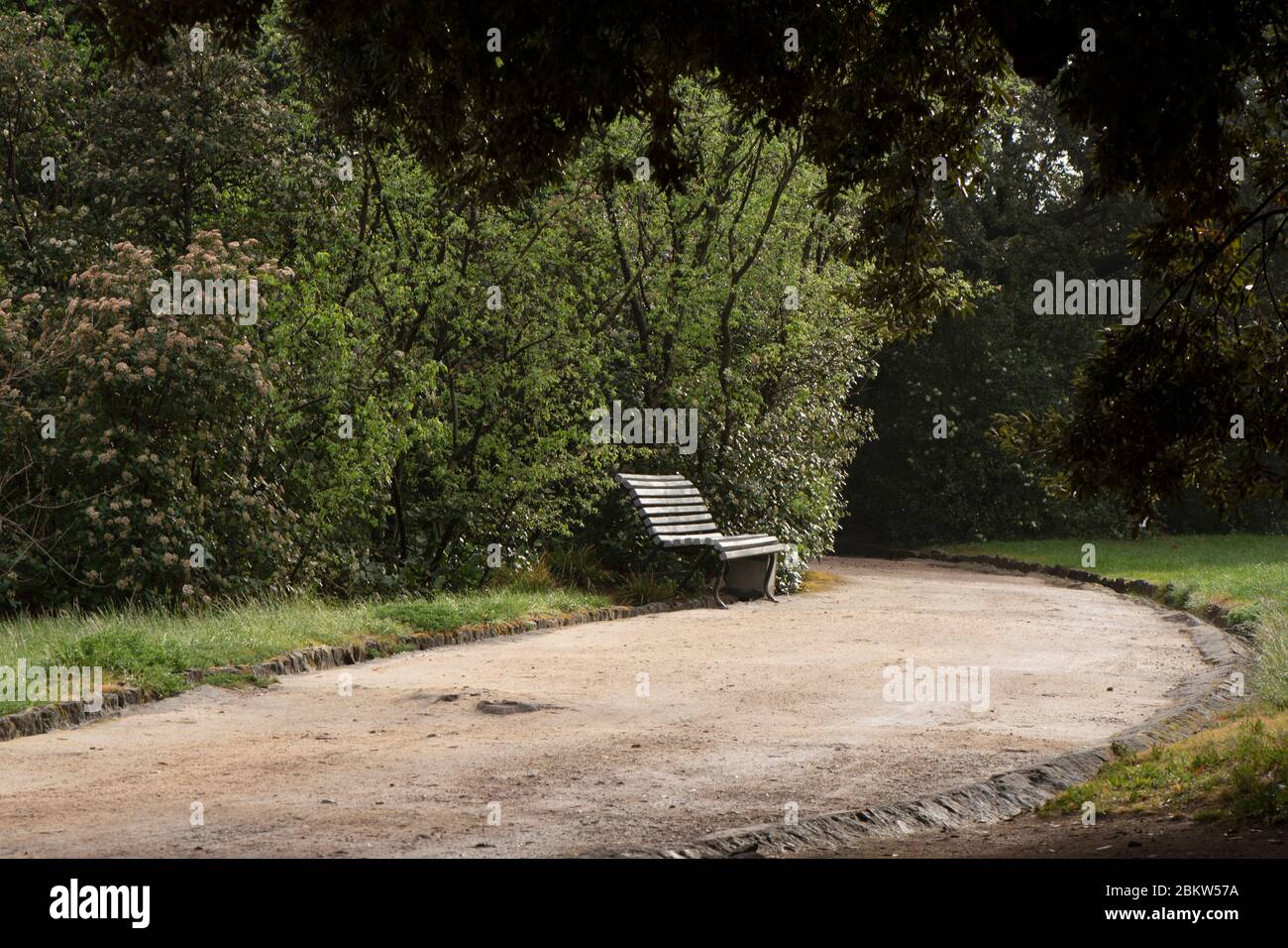 Un banc est seul sur la route. Il y a beaucoup à faire derrière le banc, ce qui rend le banc encore plus solitaire. Route dans le parc. Au premier plan se trouvent les branches des arbres. Un banc est situé en face d'une pelouse labourée. Il n'y a pas de personnes sur la route. Banque D'Images