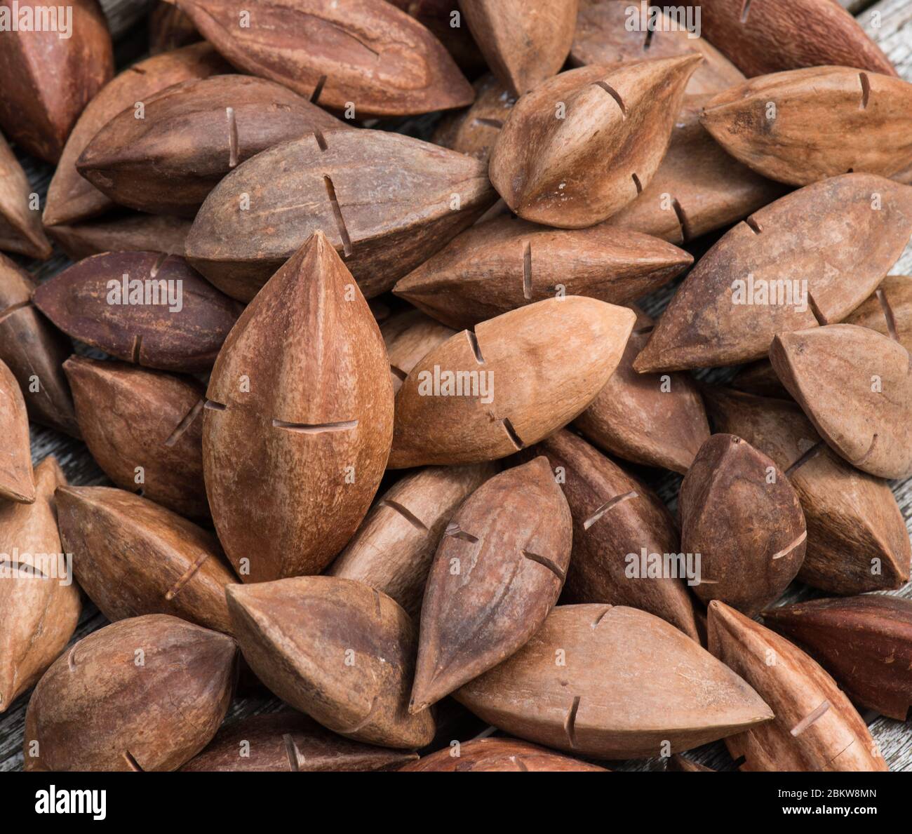 Écrous de pili Banque D'Images