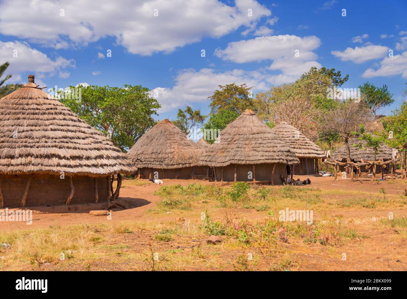 Maison de village traditionnelle, Karamoja, Ouganda Banque D'Images