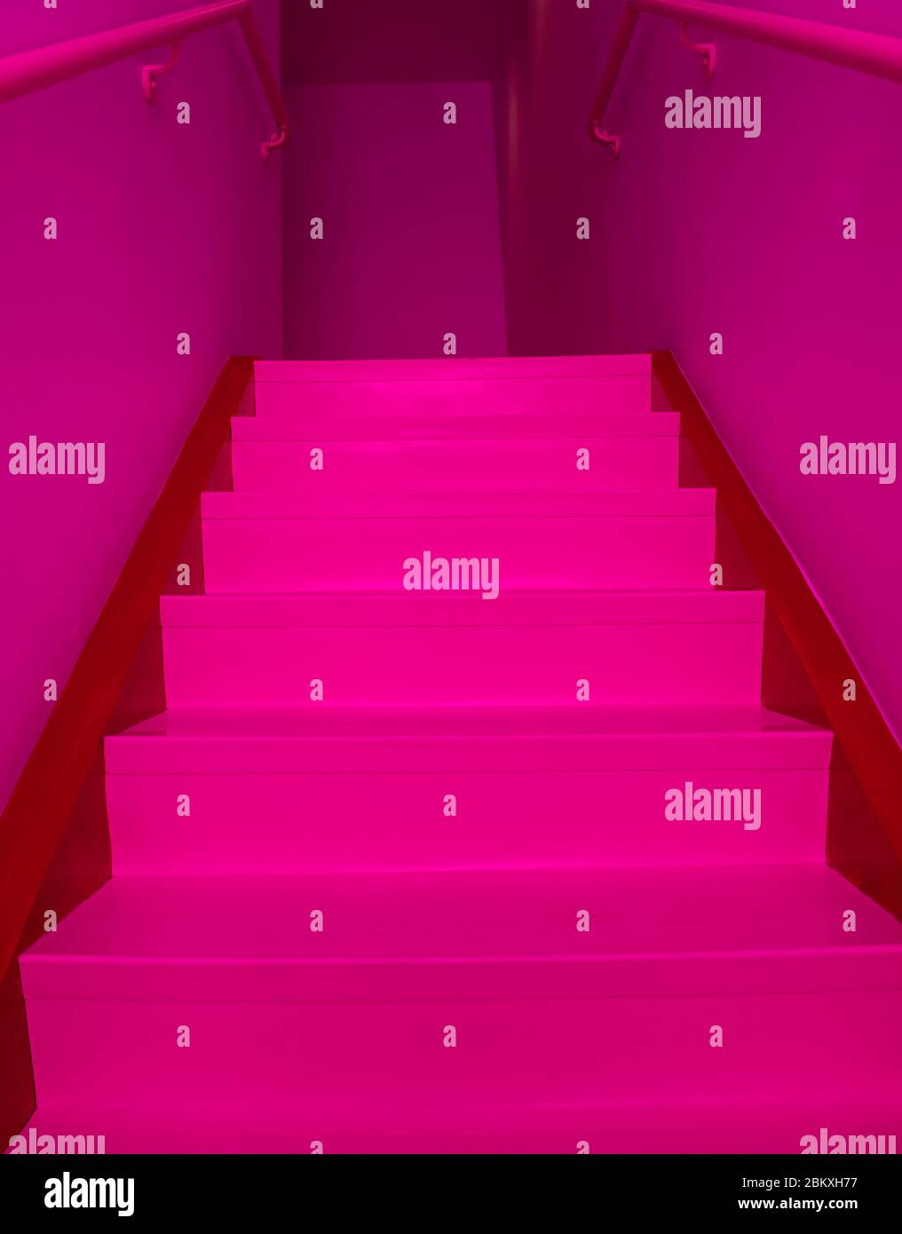 Escalier rose vif avec murs roses Banque D'Images