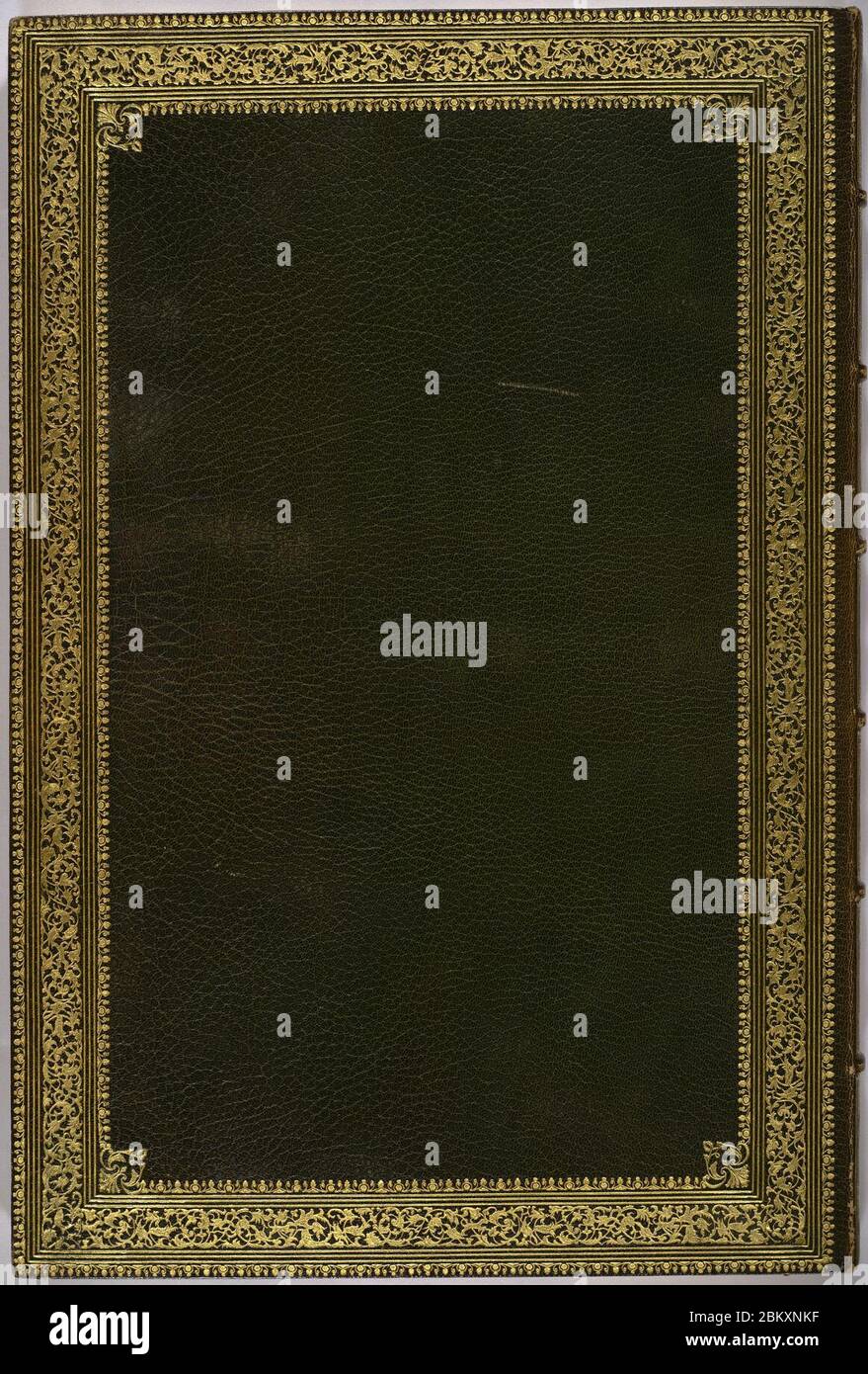 Illustrations de la famille des Psittacidae, ou perroquets (1832) -couverture arrière -par Edward Lear. Banque D'Images