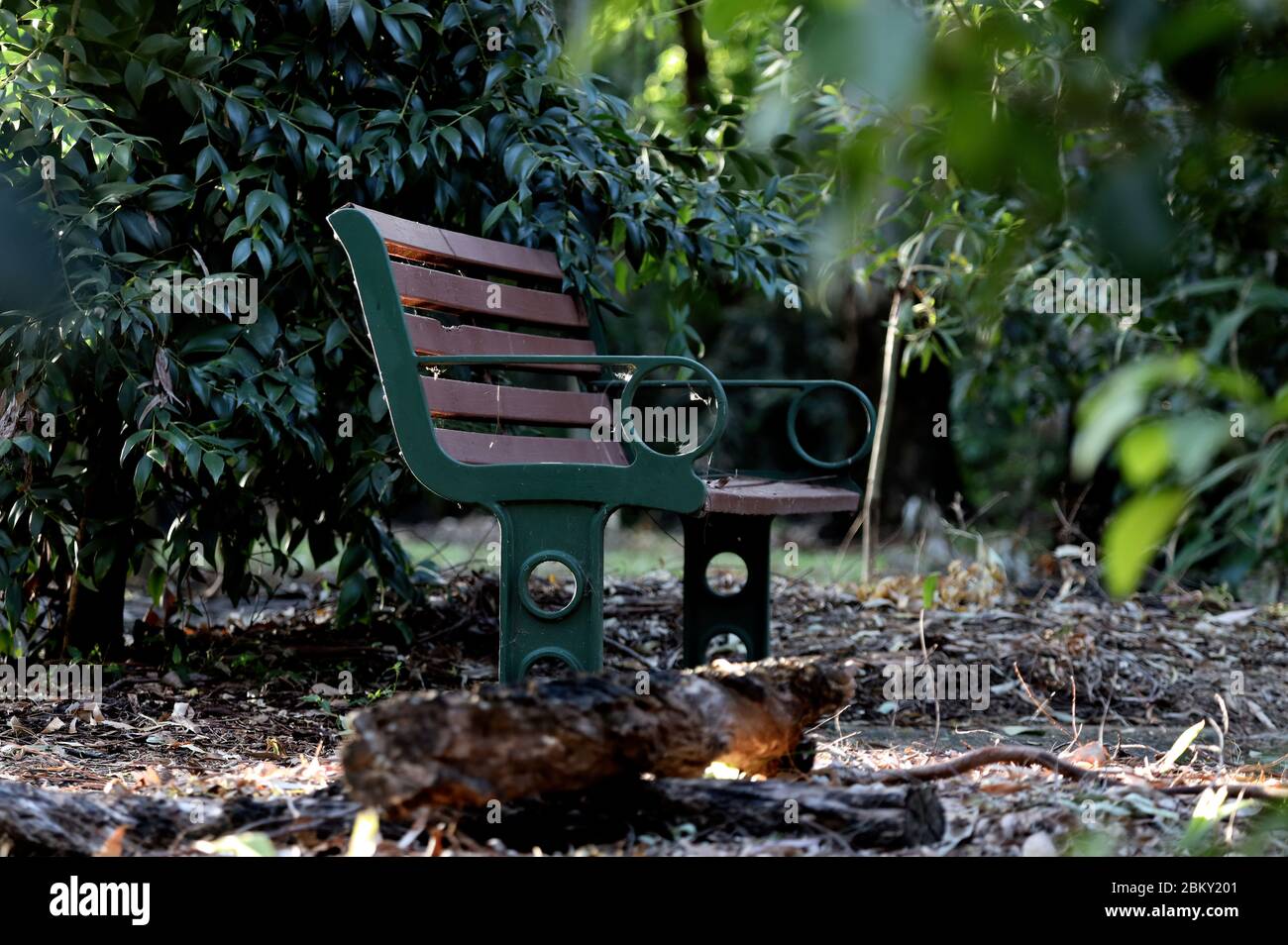 Nature : un banc isolé dans le parc, un siège pour s'asseoir et réfléchir à  la vie et aux choses, tourné en couleur, dehors sur une matinée chaude  Photo Stock - Alamy