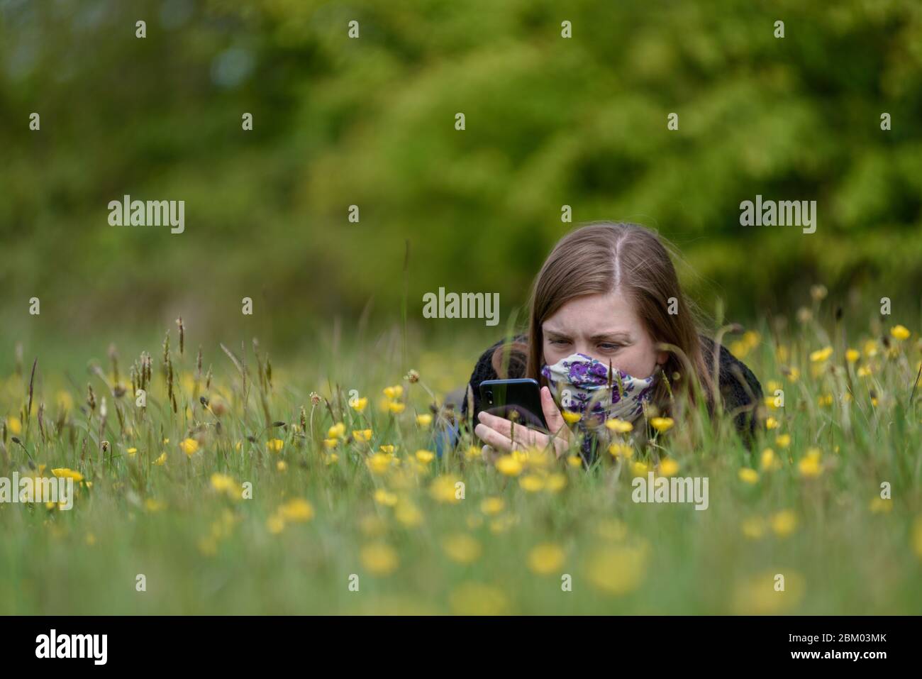 Jeunes femmes avec le téléphone mobile prenant des photos de buttercups portant un masque souffrant de rhume des foins. Banque D'Images