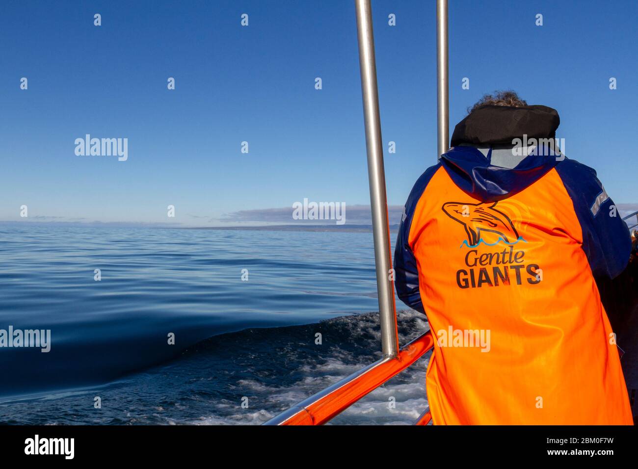 Tourisme sur un bateau d'observation des baleines à Giants Faldur dans la baie de Skjálfandi, Husavik, Islande. Banque D'Images